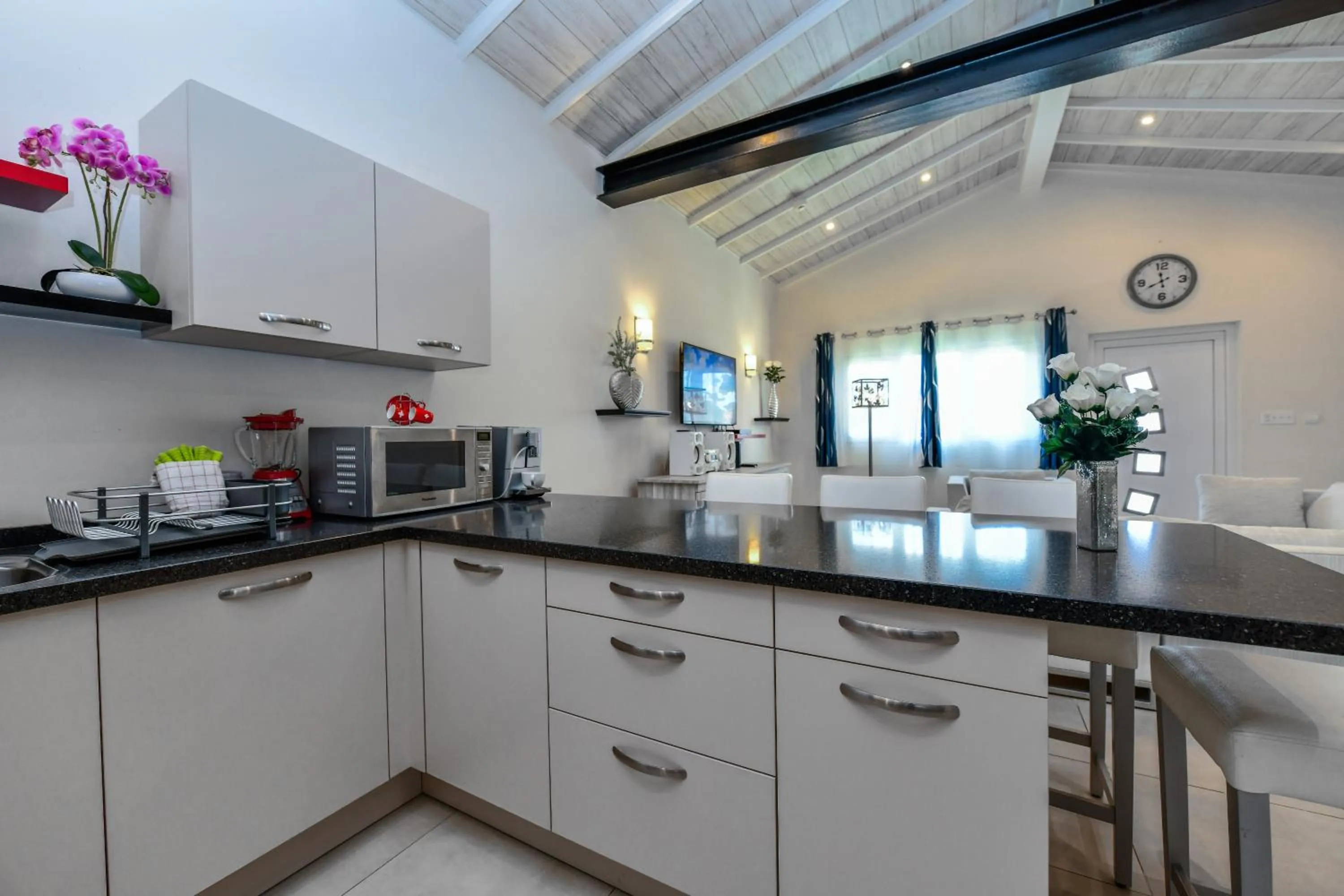 Kitchen or kitchenette in Boutique Hotel Swiss Paradise Aruba Villas and Suites