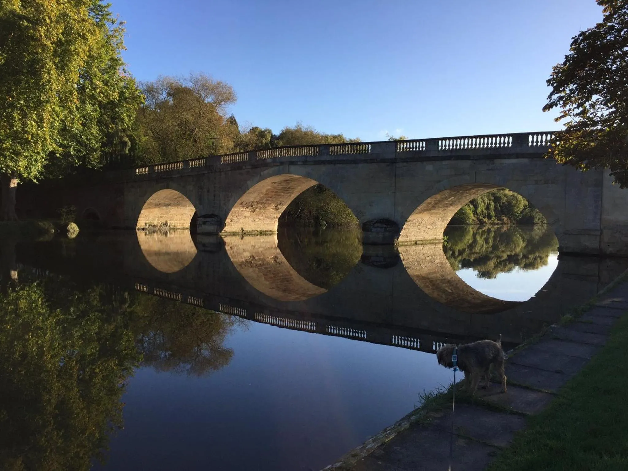 View (from property/room) in Shillingford Bridge Hotel