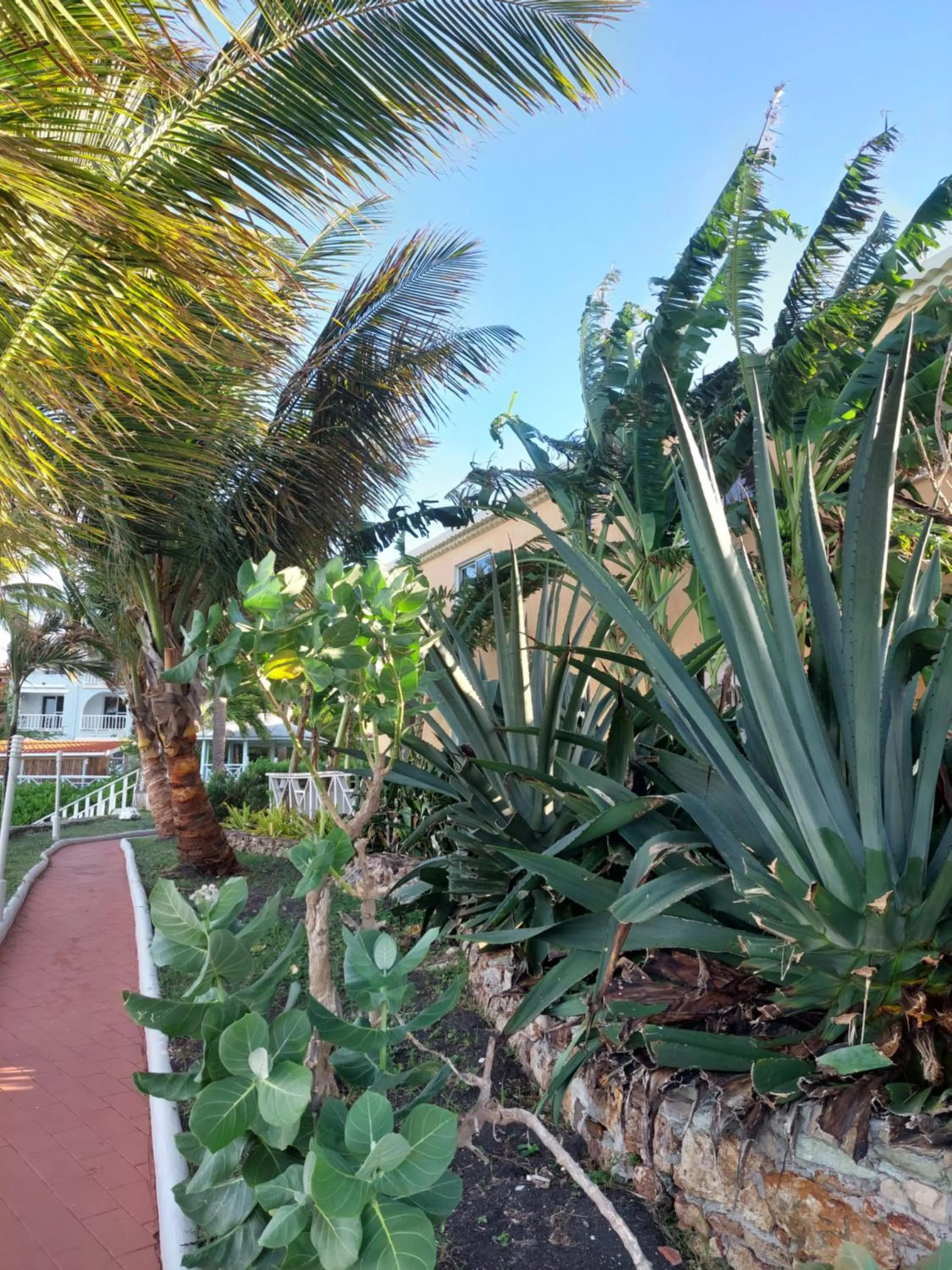 Garden view in Northshore Seaside Suites
