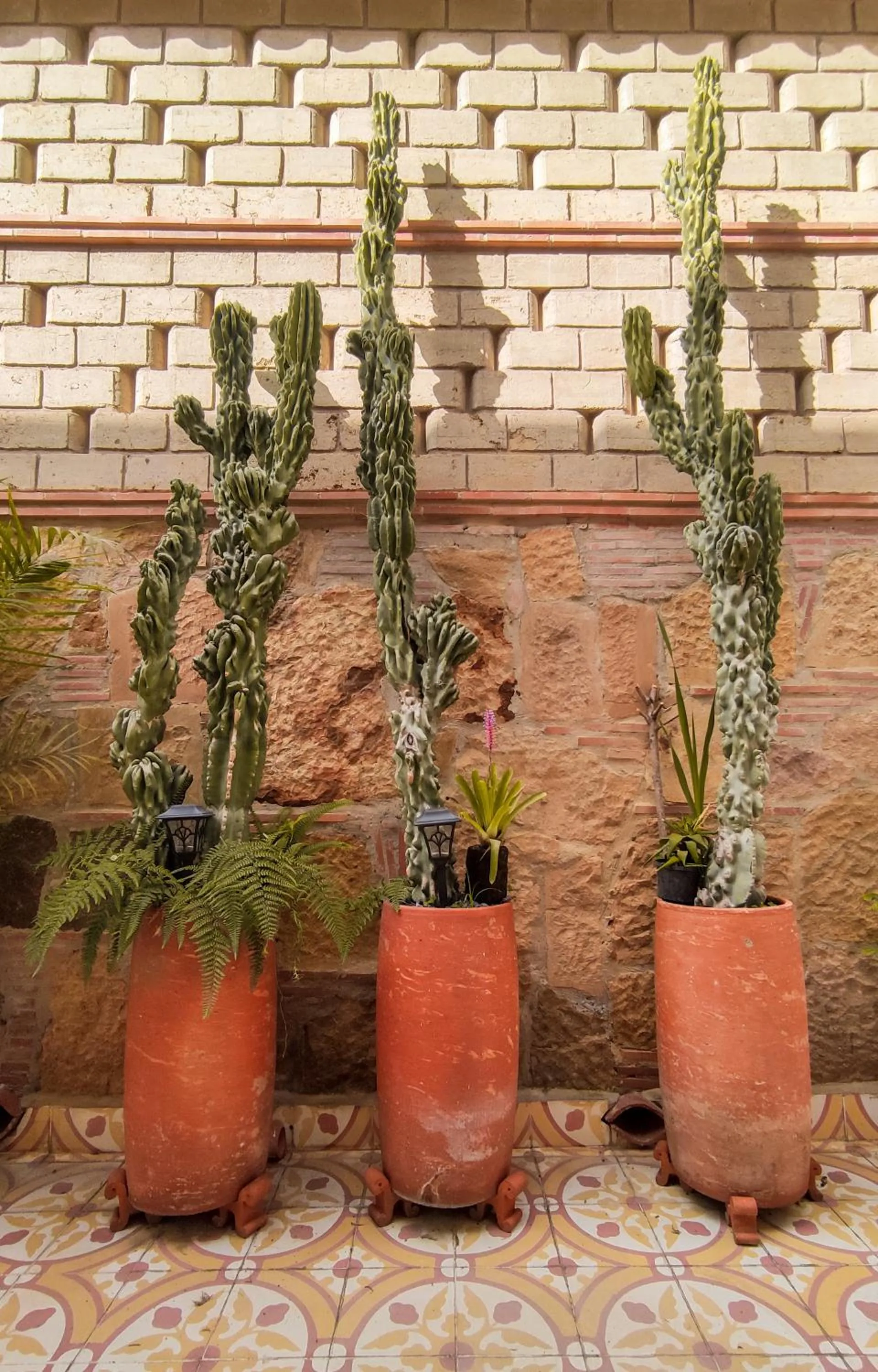 Garden in Maria Bonita Hotel