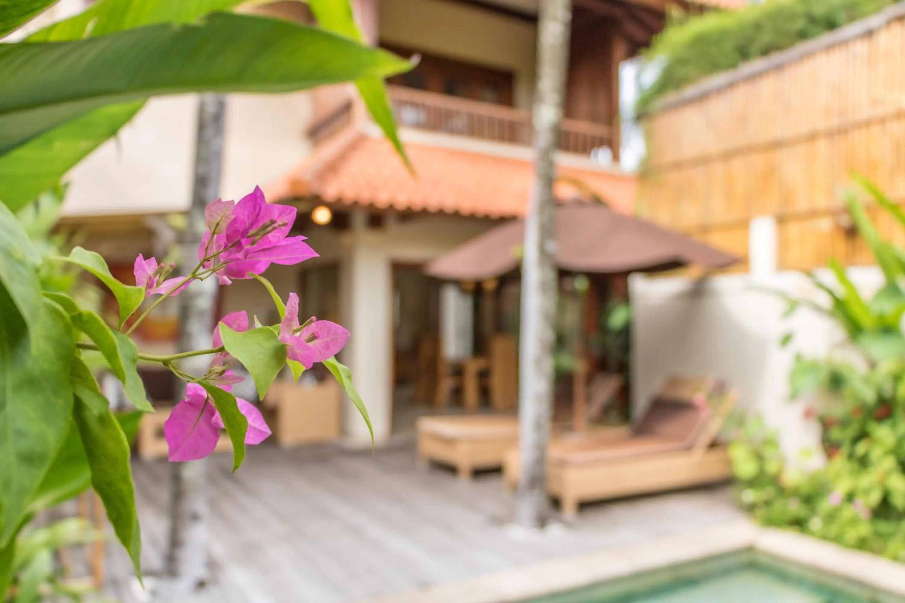 Garden view in Villa Seriska Seminyak