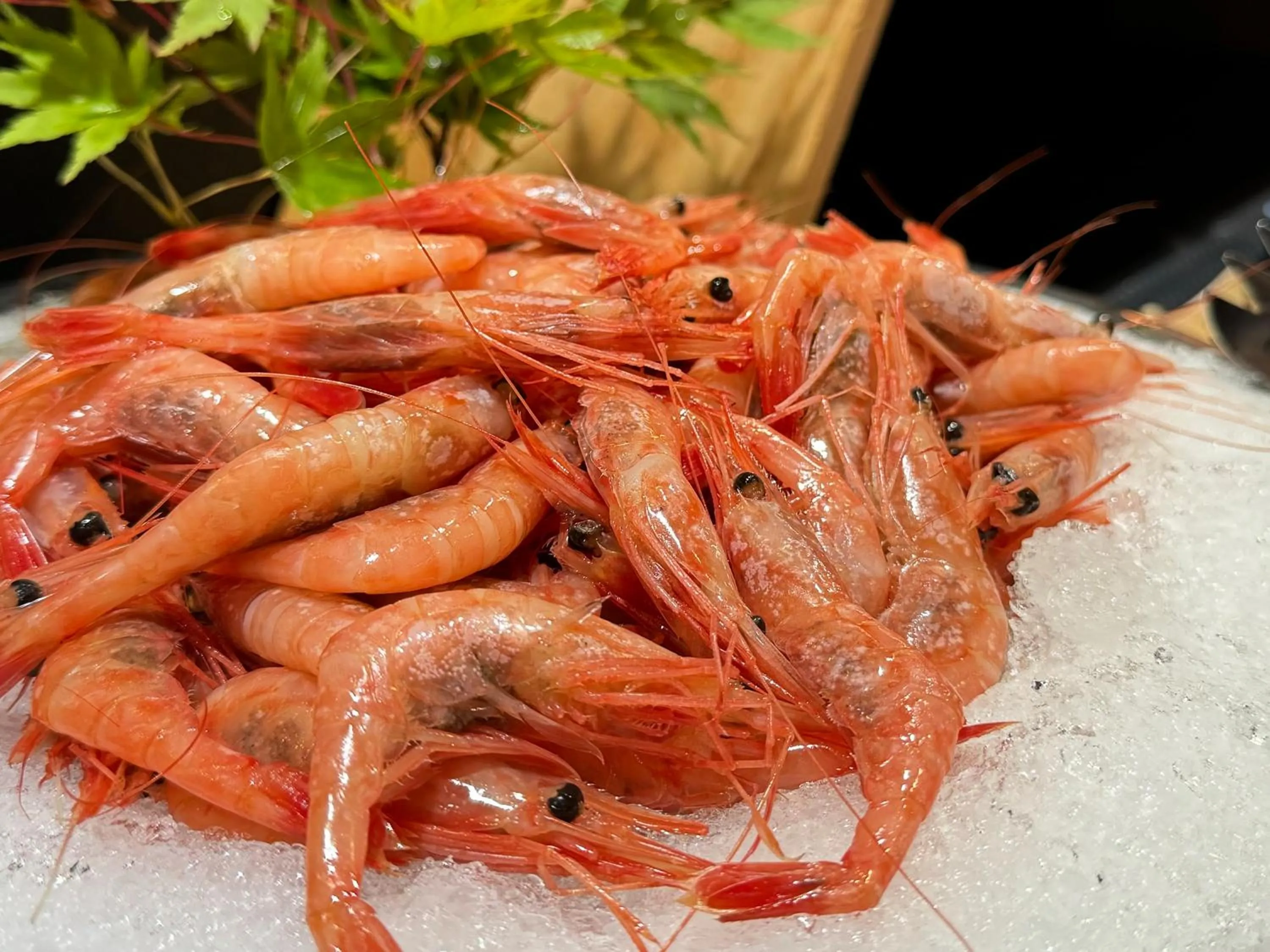 Food and drinks in Hotel Kusakabe Armeria