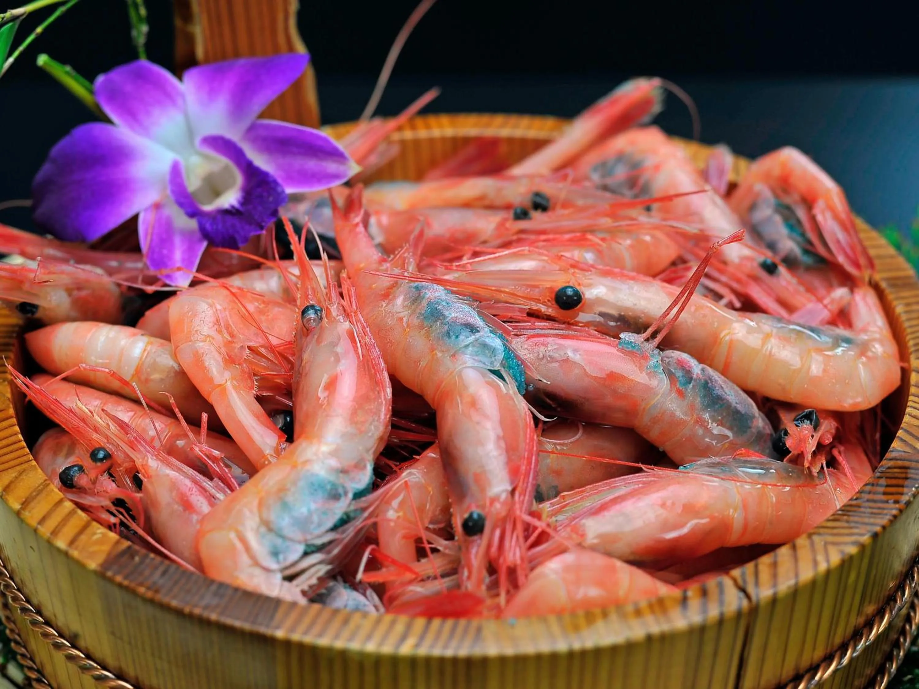 Food and drinks in Hotel Kusakabe Armeria