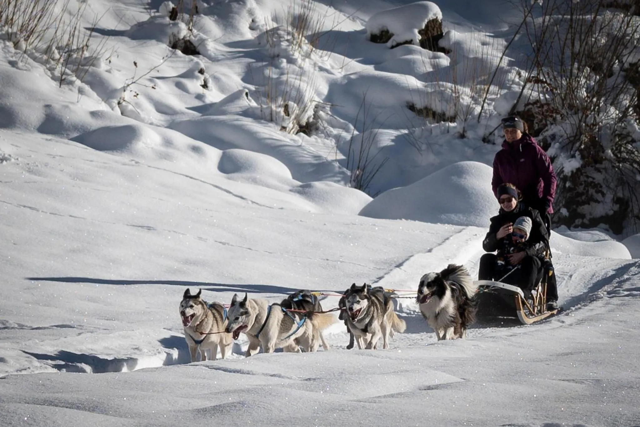 Activities in Hüttenhotel Husky Lodge