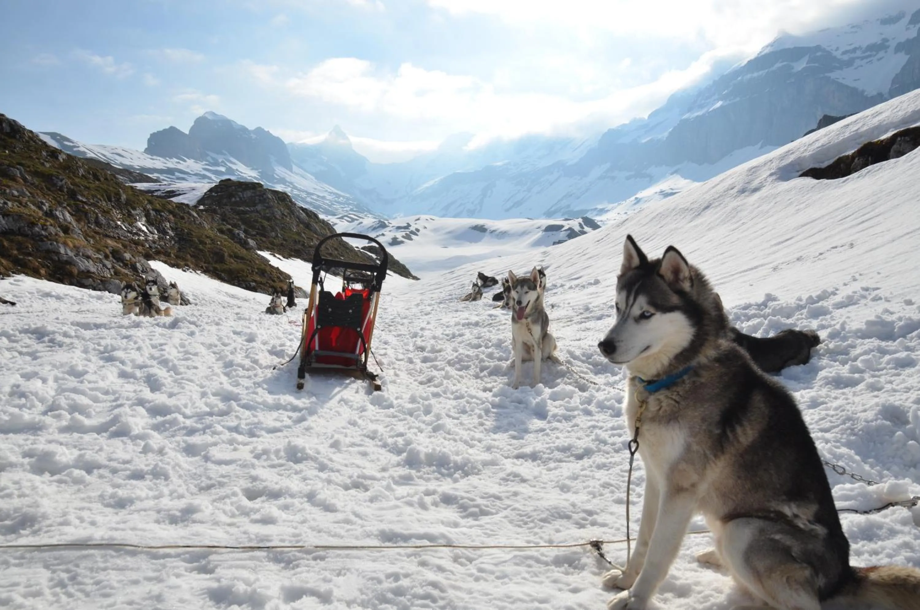Activities in Hüttenhotel Husky Lodge
