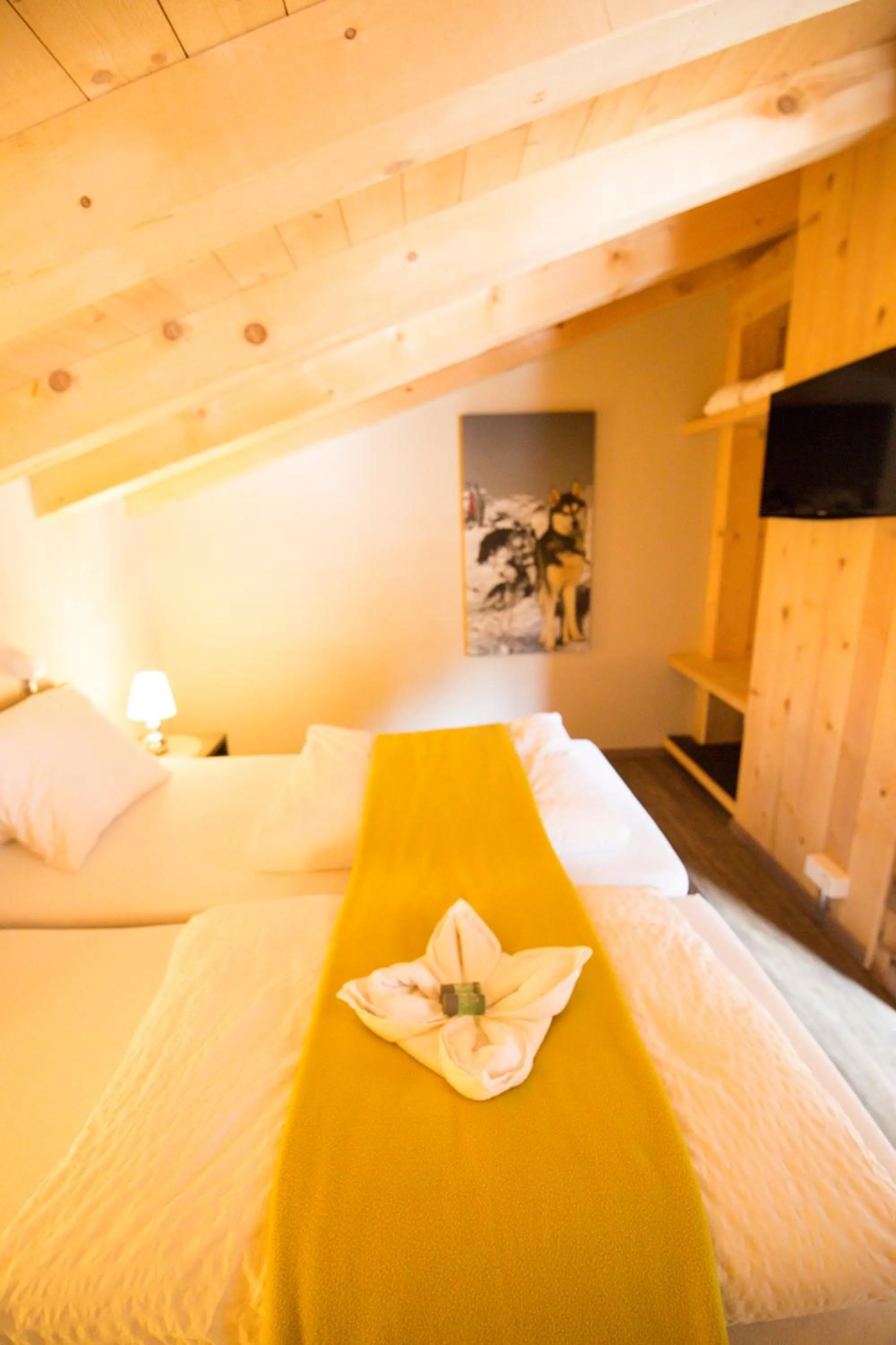 TV and multimedia, Bed in Hüttenhotel Husky Lodge