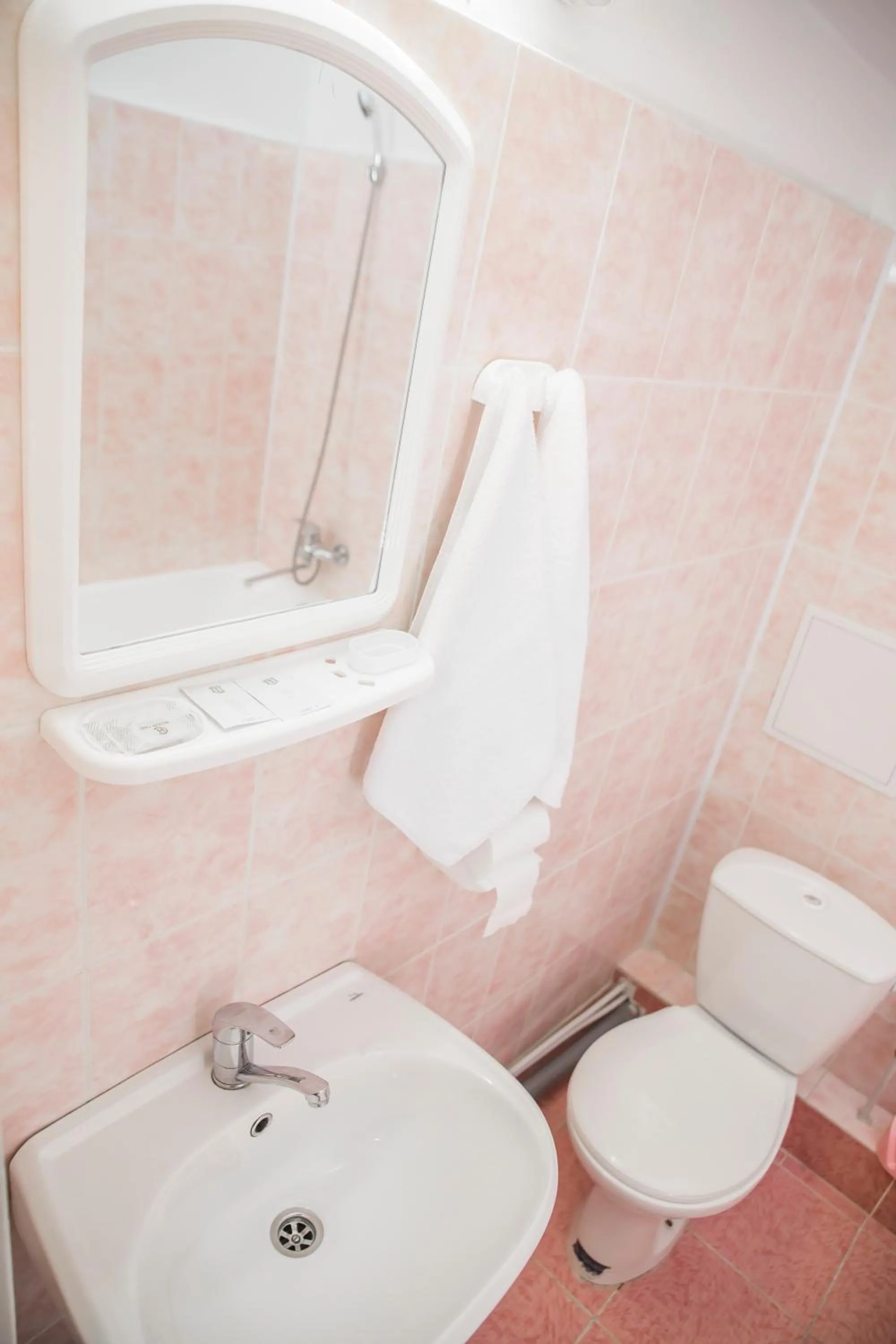 Standard Twin Room in Chisinau Hotel