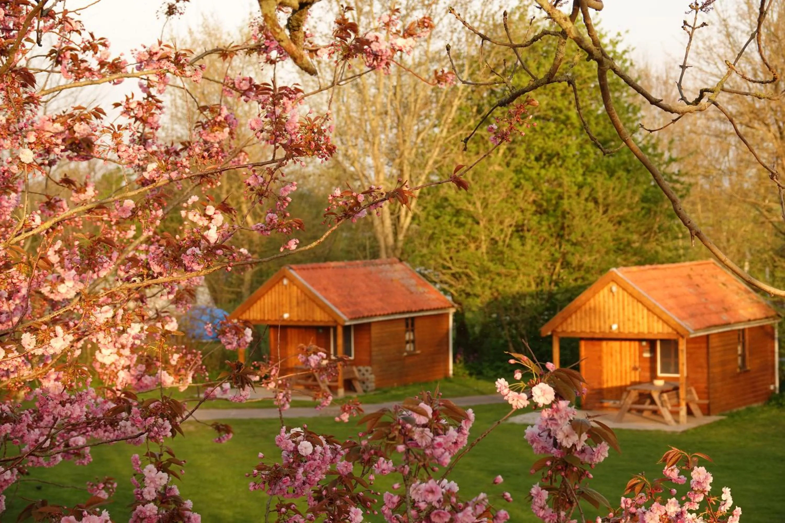 Property building in B&B Welgelegen