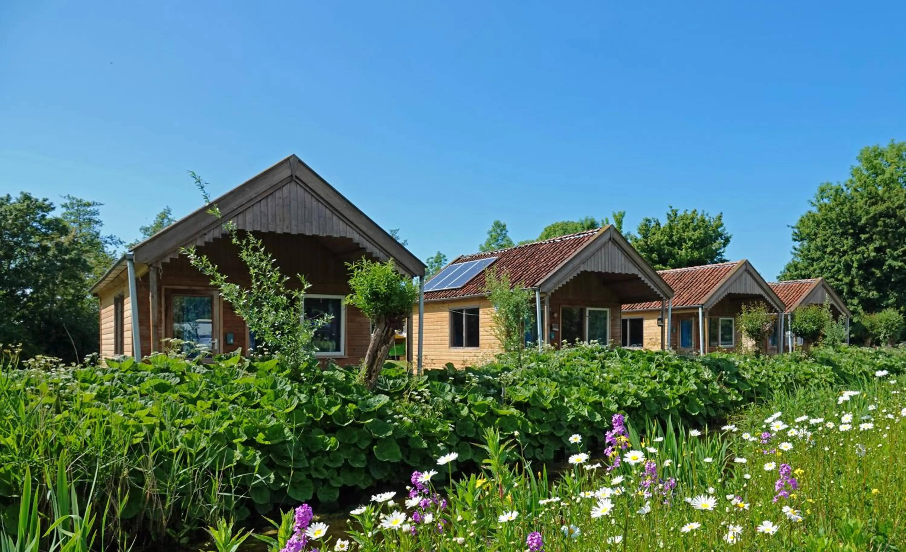 Property building in B&B Welgelegen