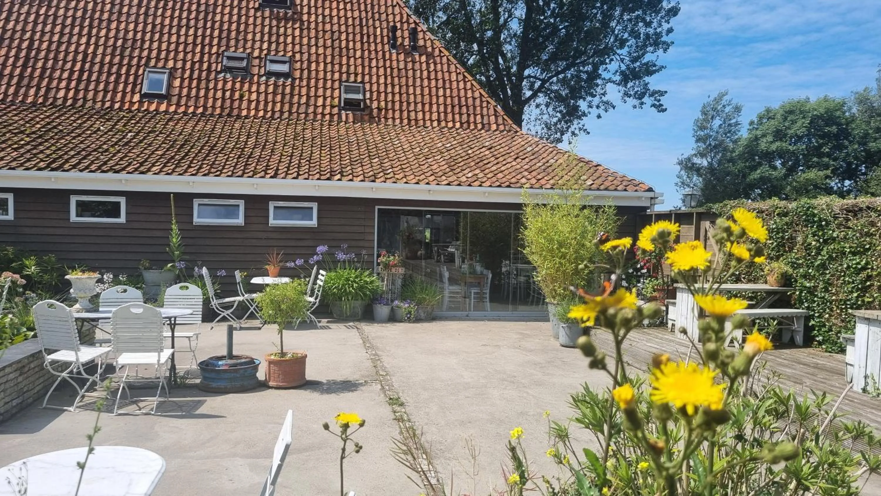 Patio in B&B Welgelegen