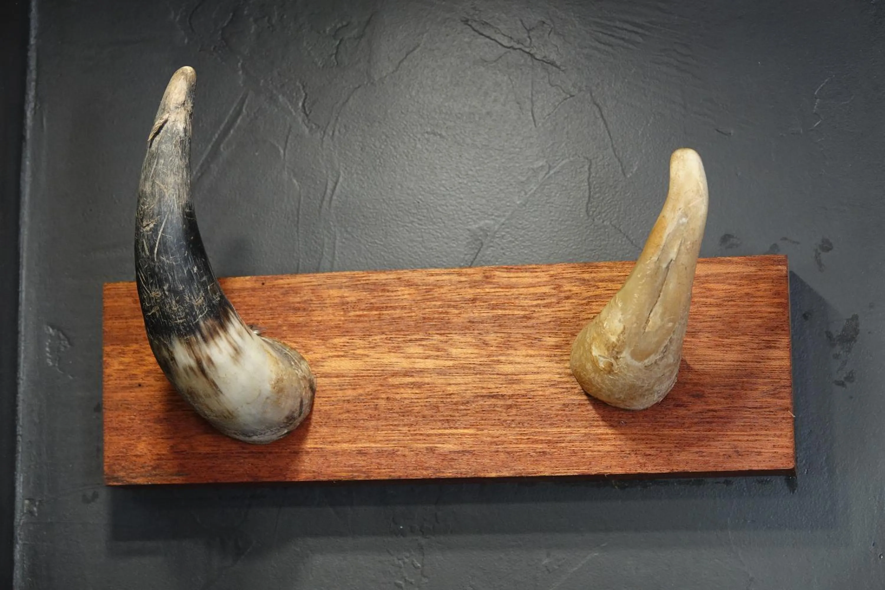 Bathroom in B&B Welgelegen