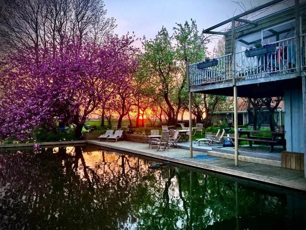 Swimming pool in B&B Welgelegen