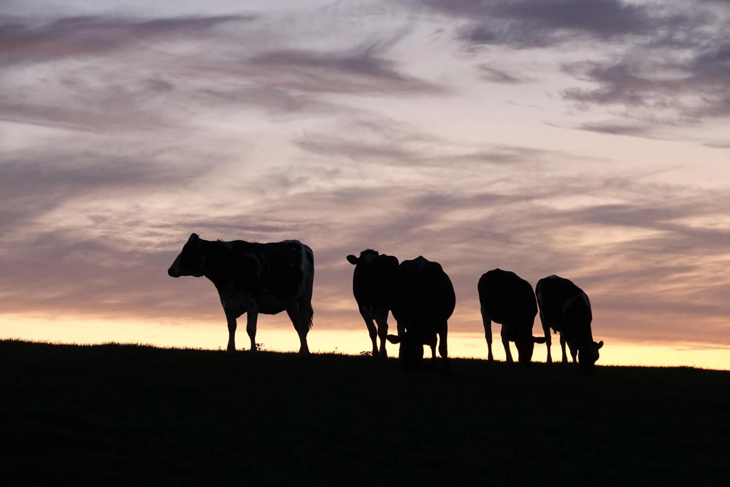 Off site in B&B Welgelegen