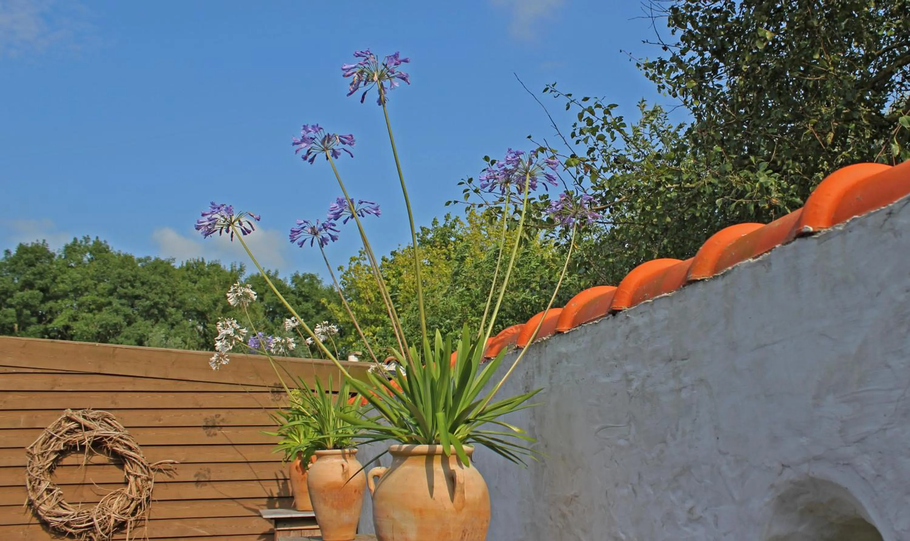 Garden in B&B Welgelegen