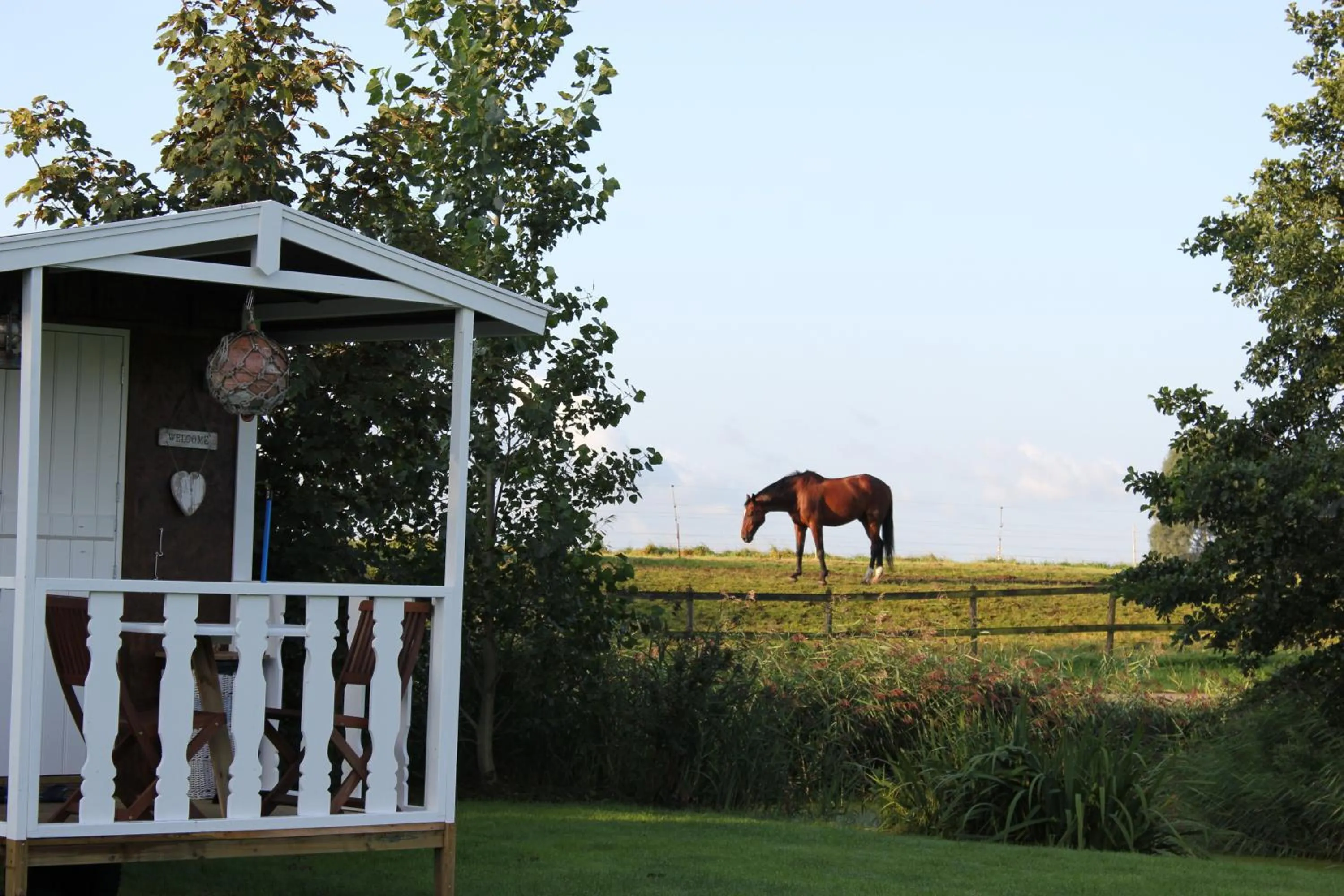 View (from property/room) in B&B Welgelegen