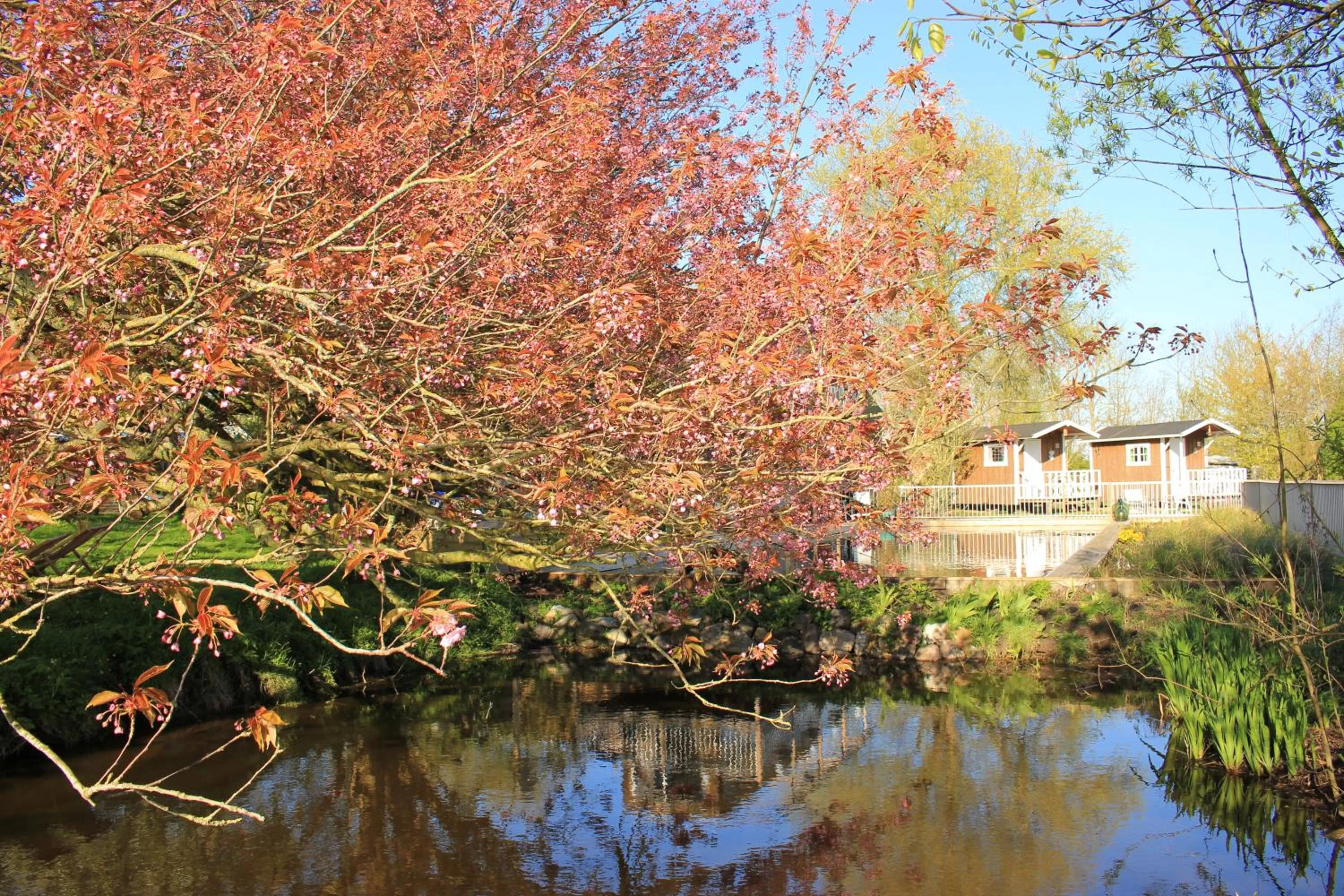 Property building in B&B Welgelegen