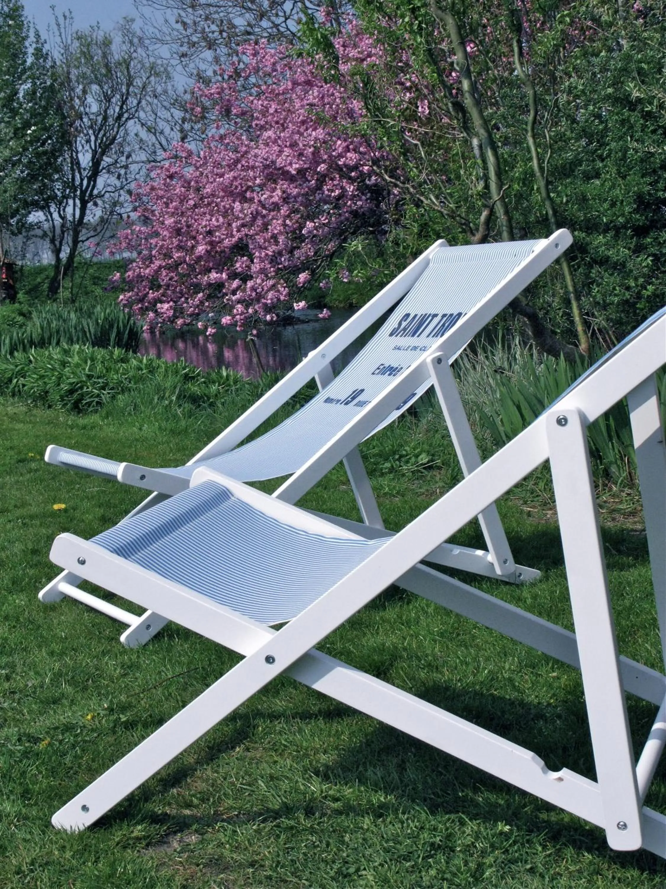 View (from property/room) in B&B Welgelegen