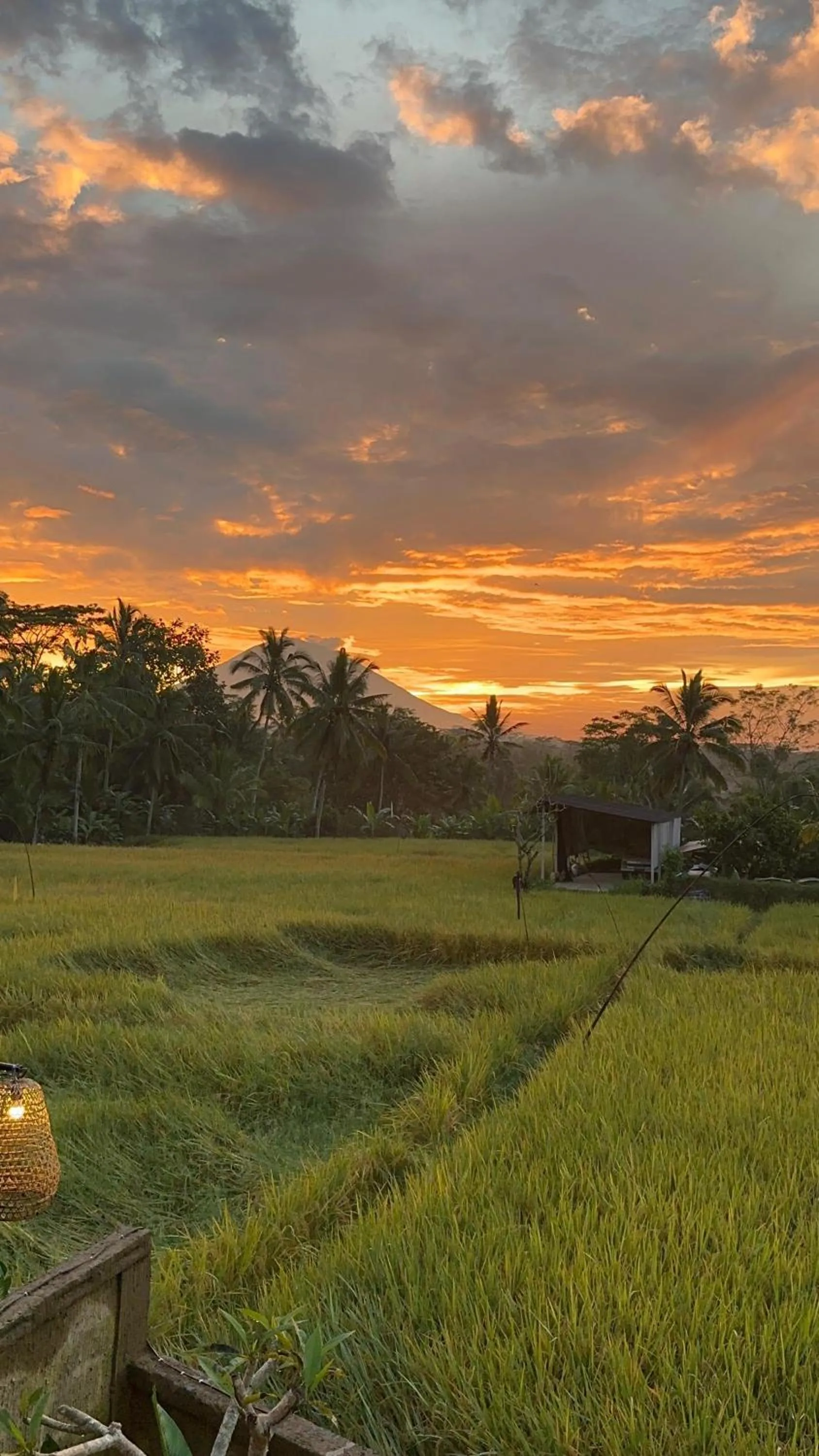 Spring in Aditara Sebatu Villa