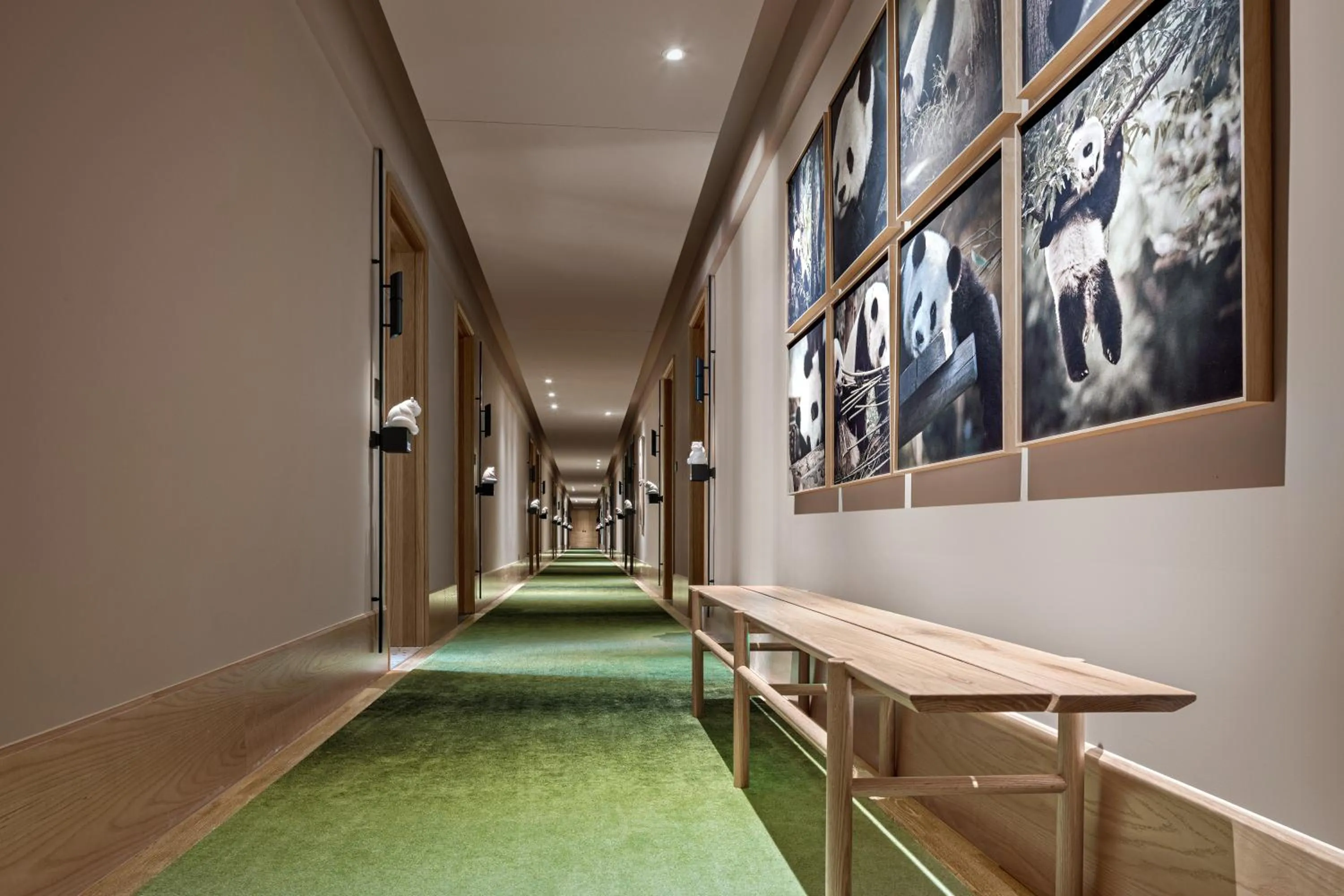Seating area in Panda Hotel