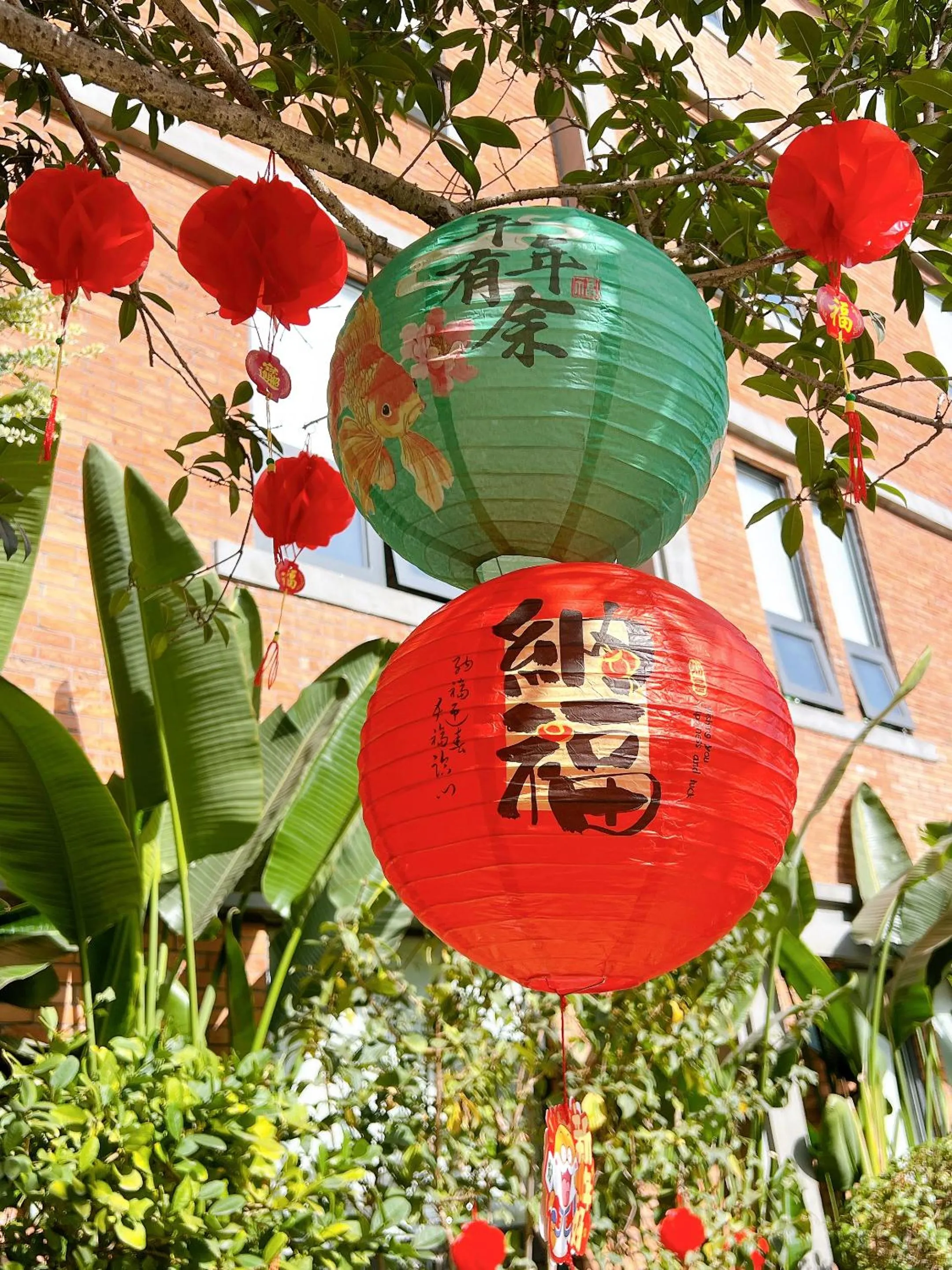 Garden view in Panda Hotel