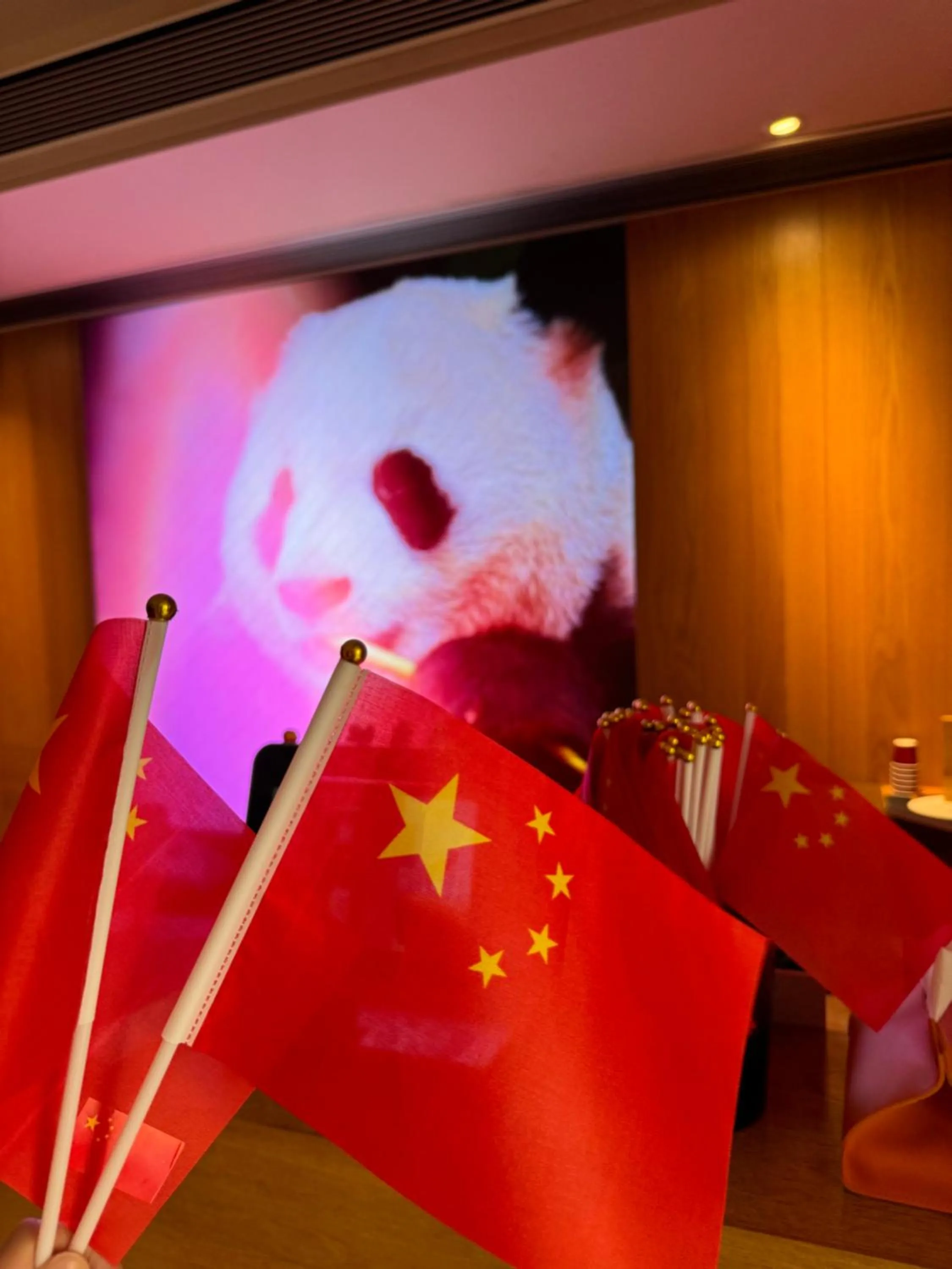 Lobby or reception in Panda Hotel