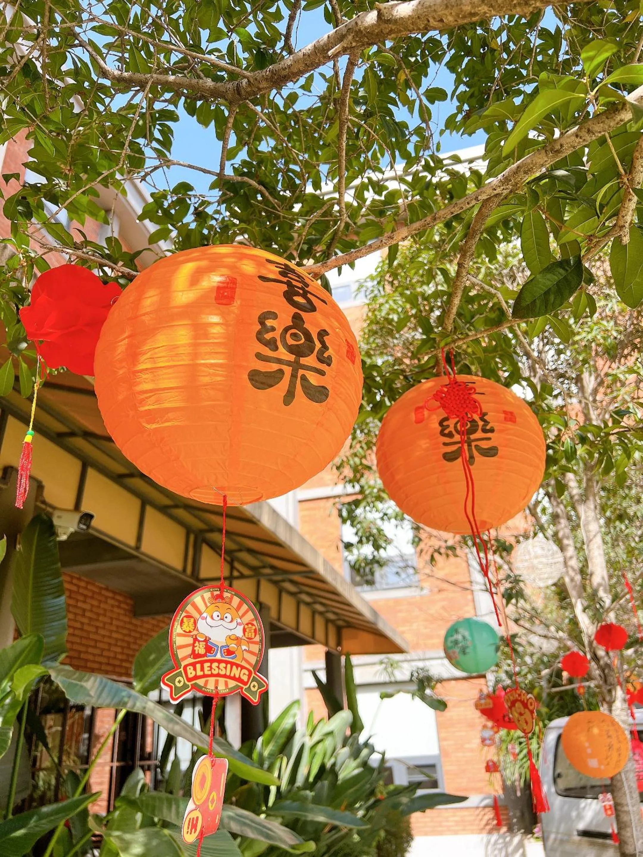 Garden view in Panda Hotel