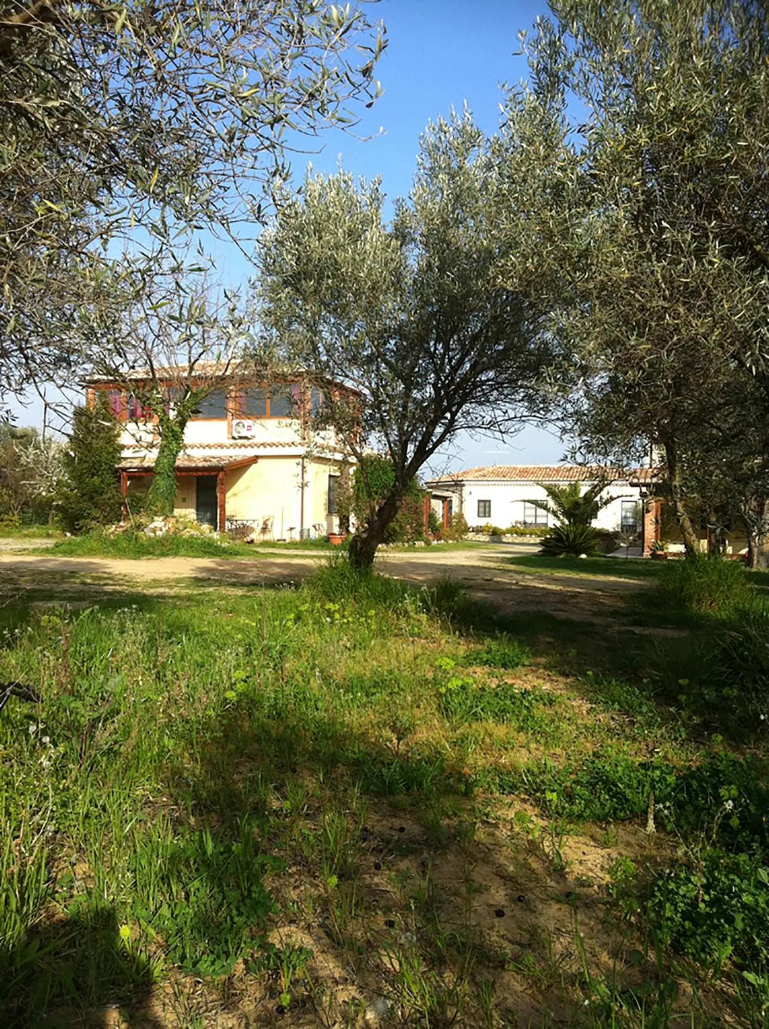 Garden view in Agriturismo Frangivento