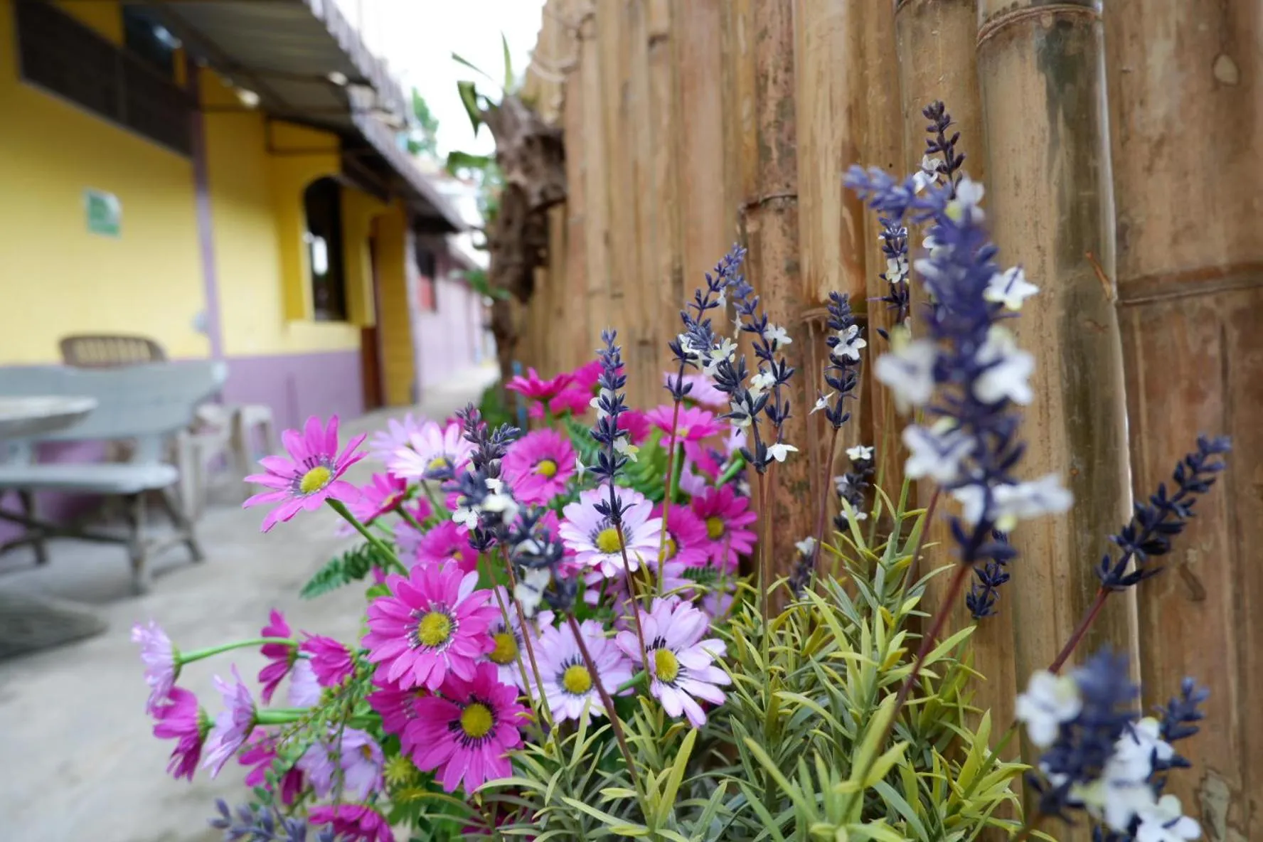 Marina hut guest house