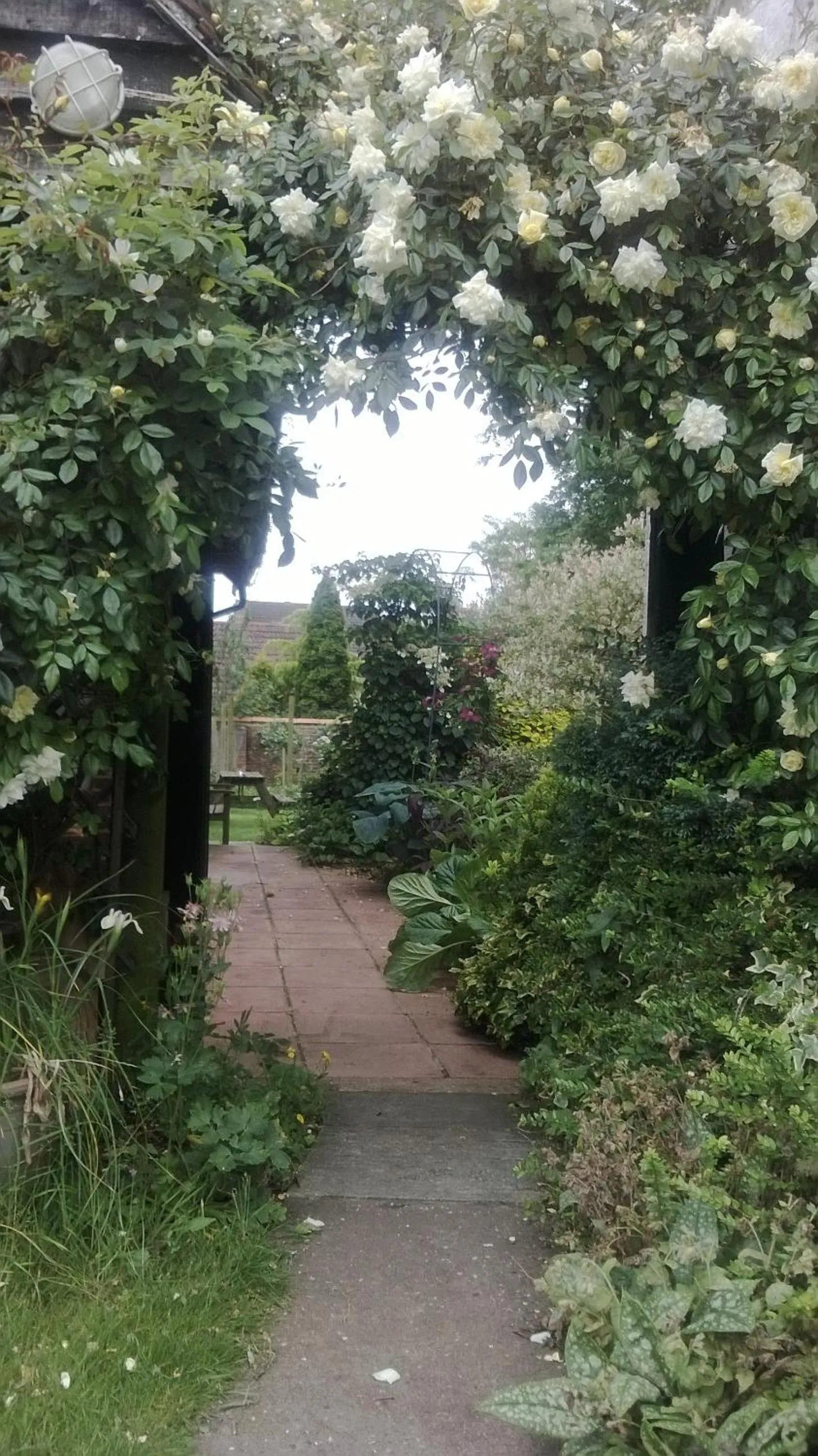 Spring in Strawberry Cottage B&B