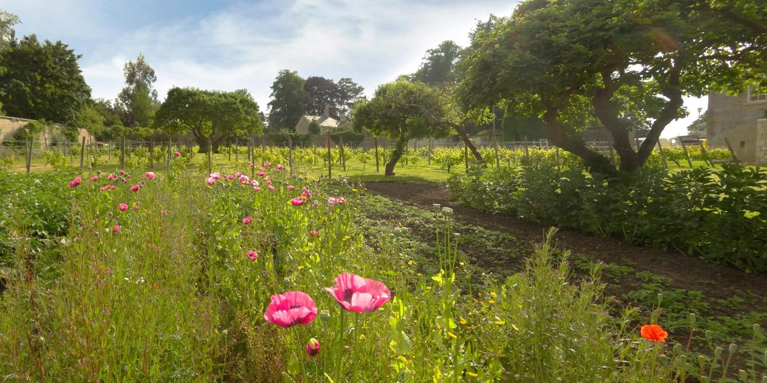 Garden in Leigh Park Country House Hotel & Vineyard, BW Signature Collection