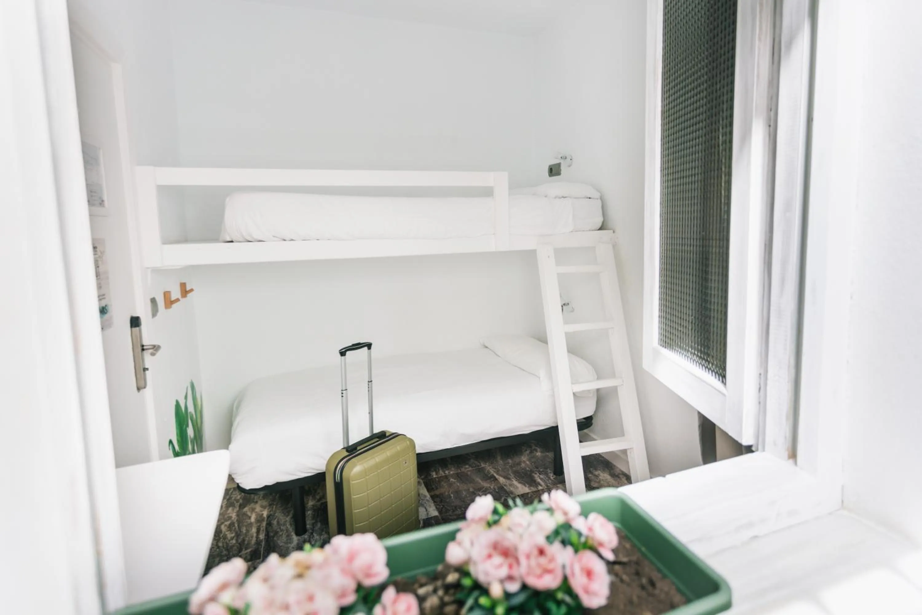 Photo of the whole room, Bed in La Cocotera Boutique Hostel & Coworking