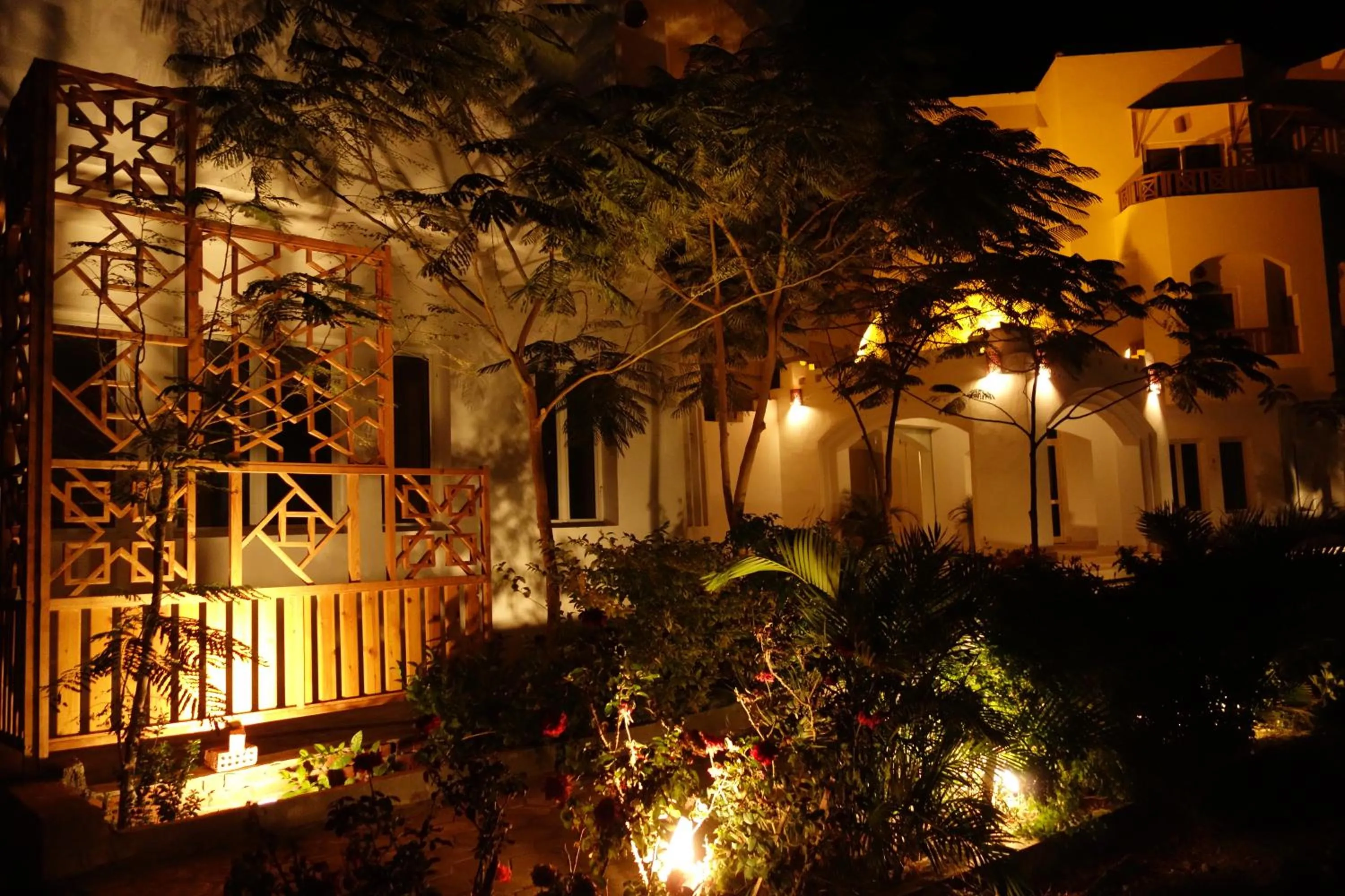 Garden in Blue Vision Diving Hotel