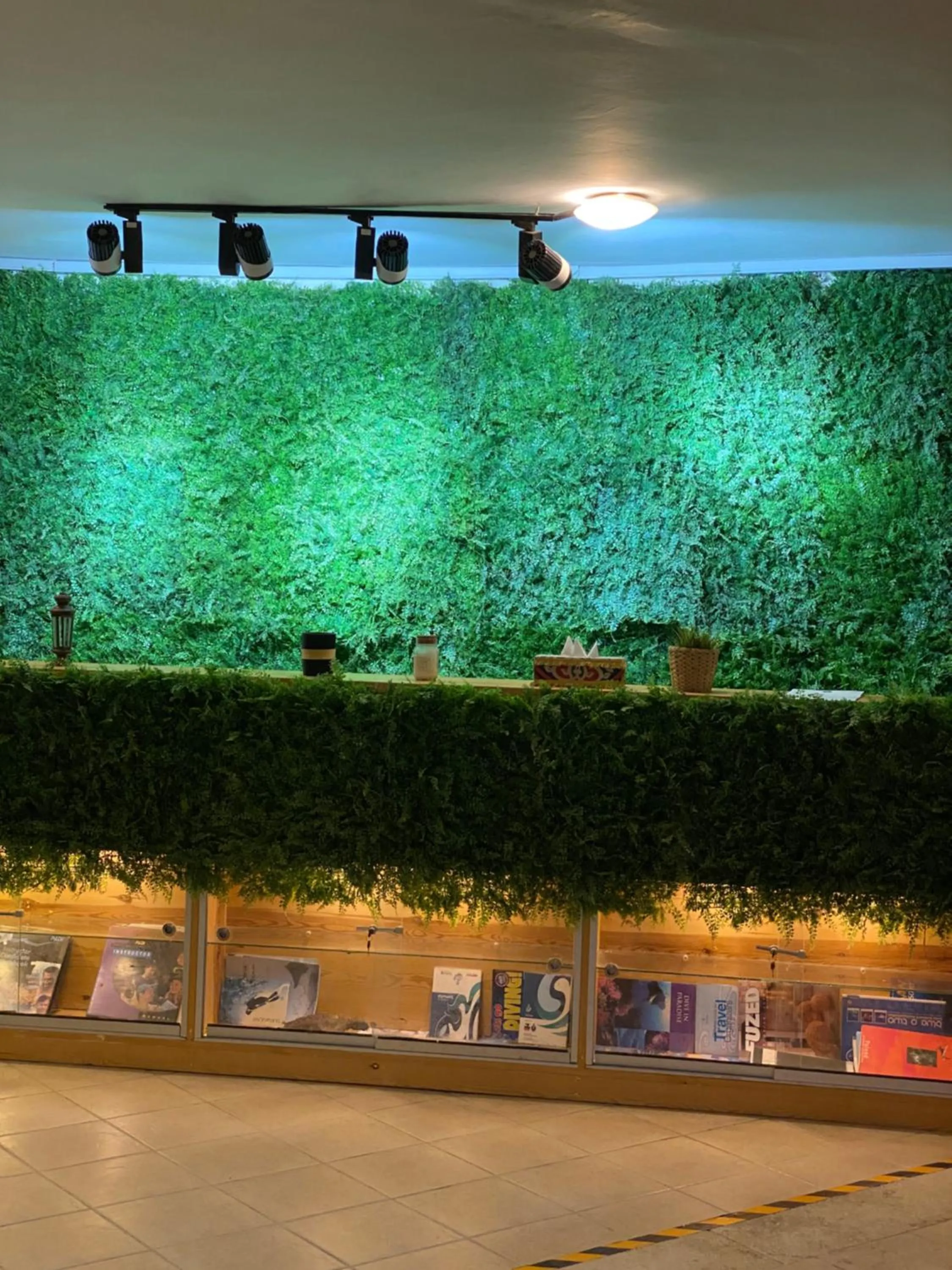 Lobby or reception in Blue Vision Diving Hotel