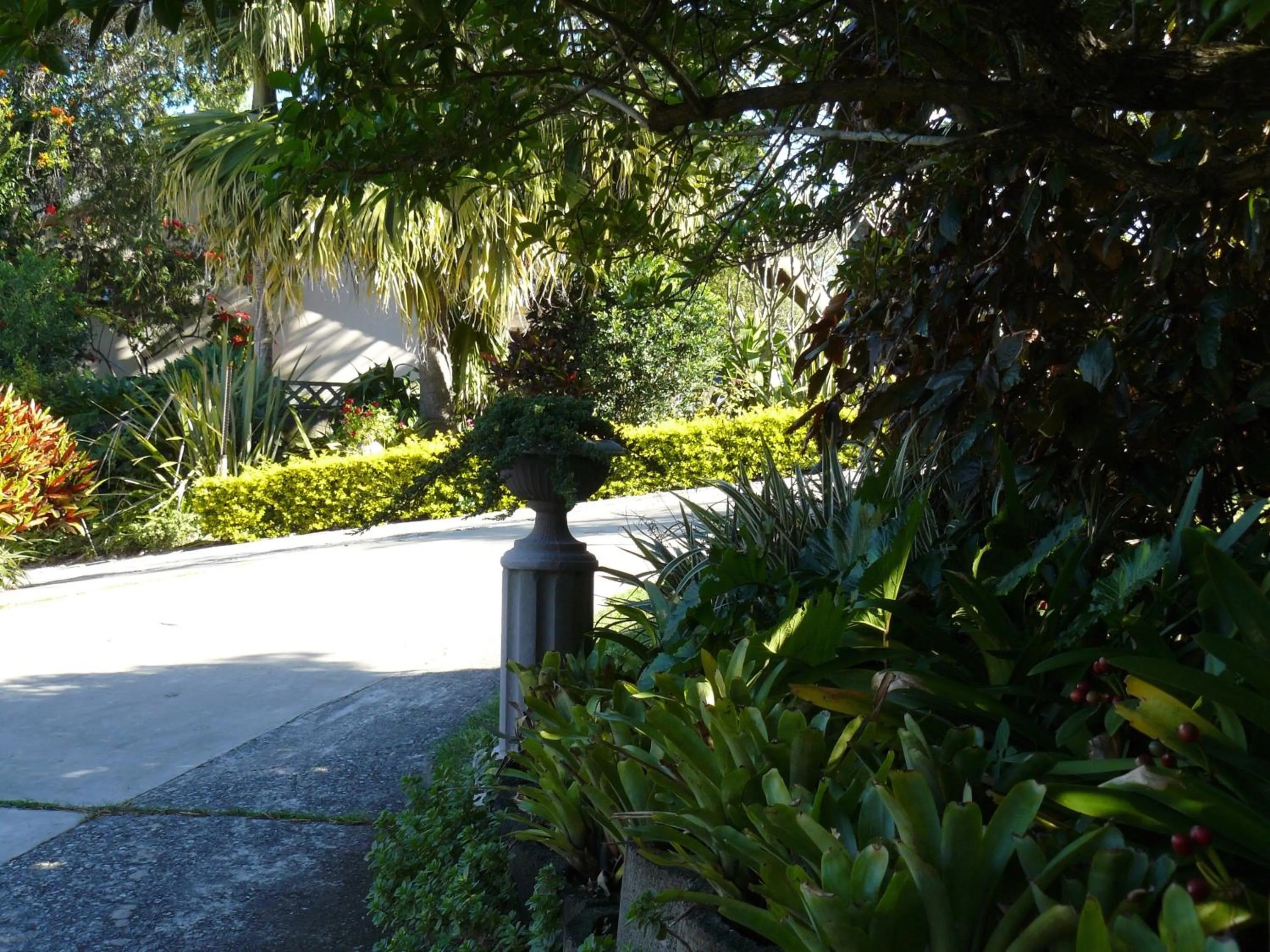 Garden in theSolution BnB