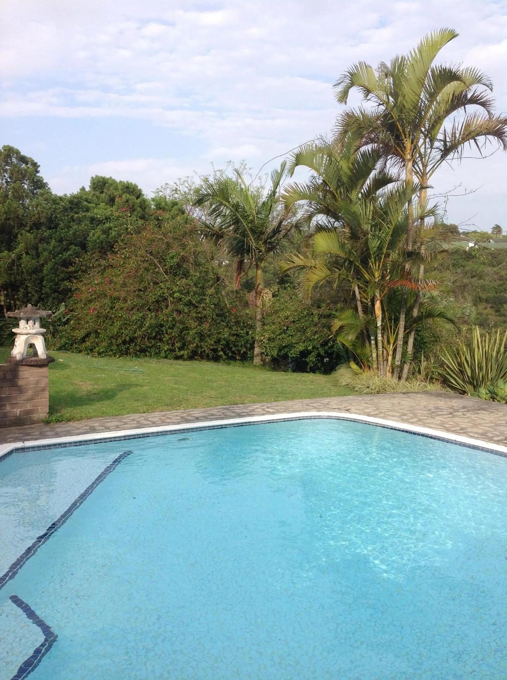 Swimming pool in theSolution BnB