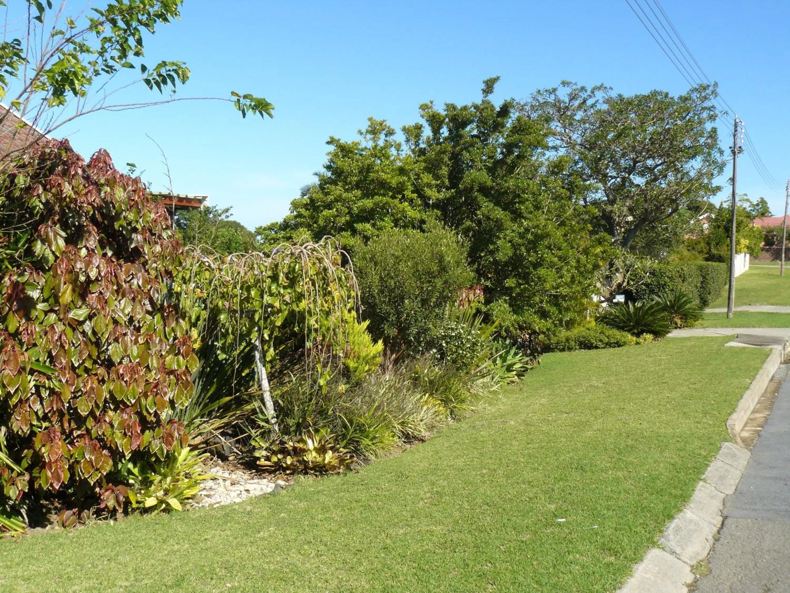 Garden in theSolution BnB