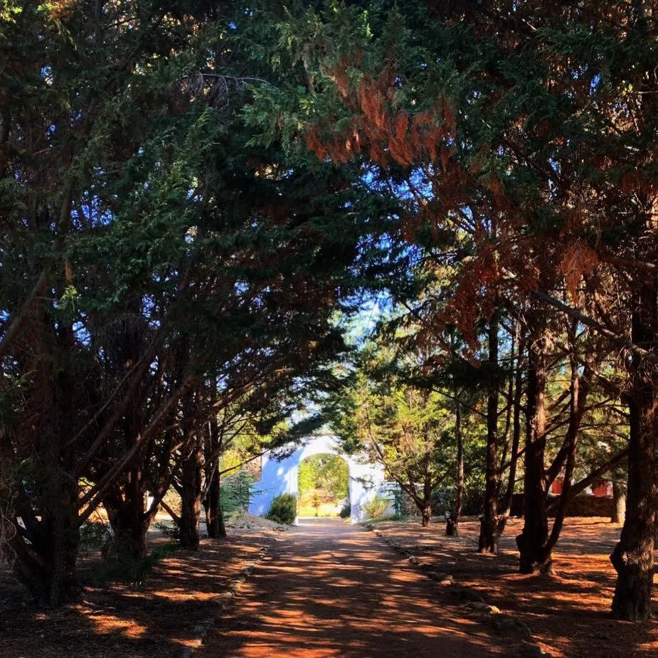 Garden in Hotel Rural Monte da Provença