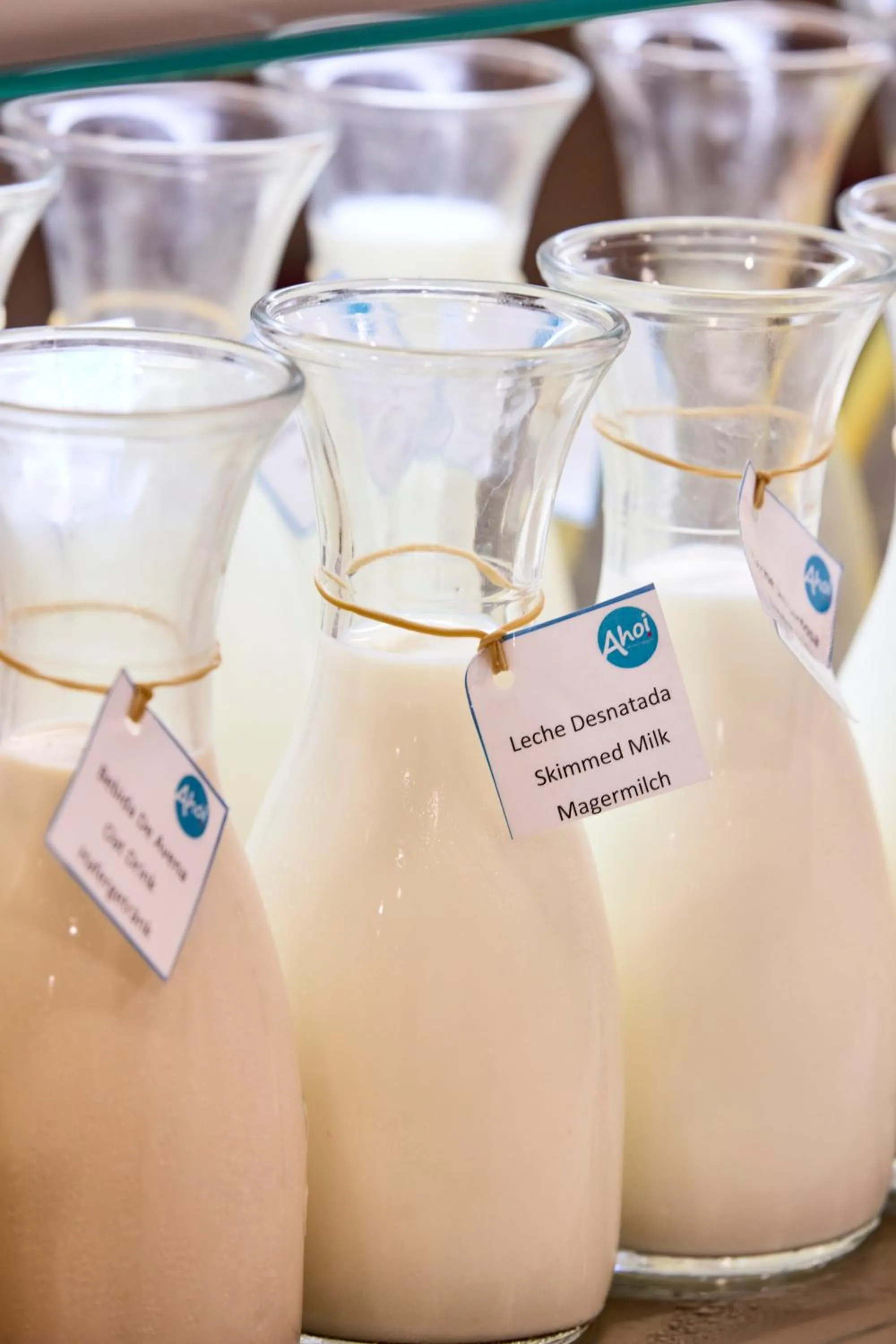 Food and drinks in AHOI! Urban Beach