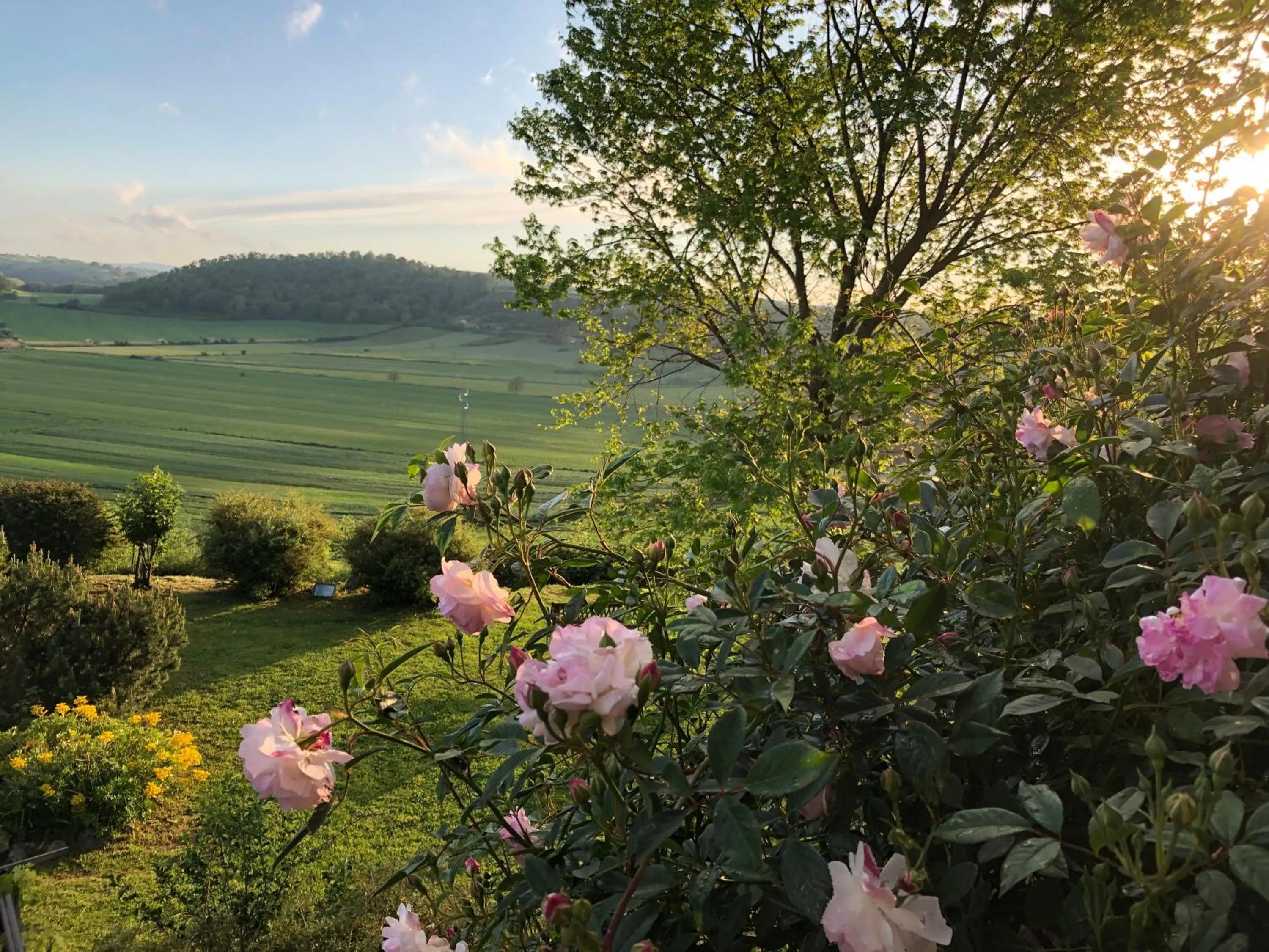 View (from property/room) in Holiday home Sellanraa