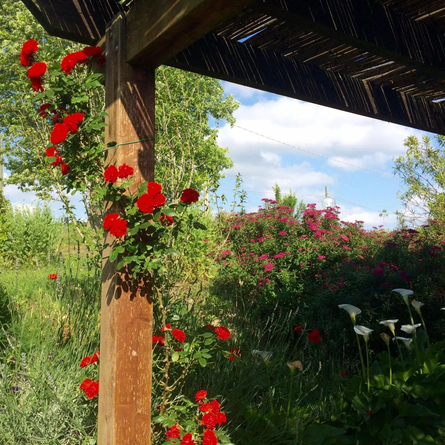 Garden in Holiday home Sellanraa