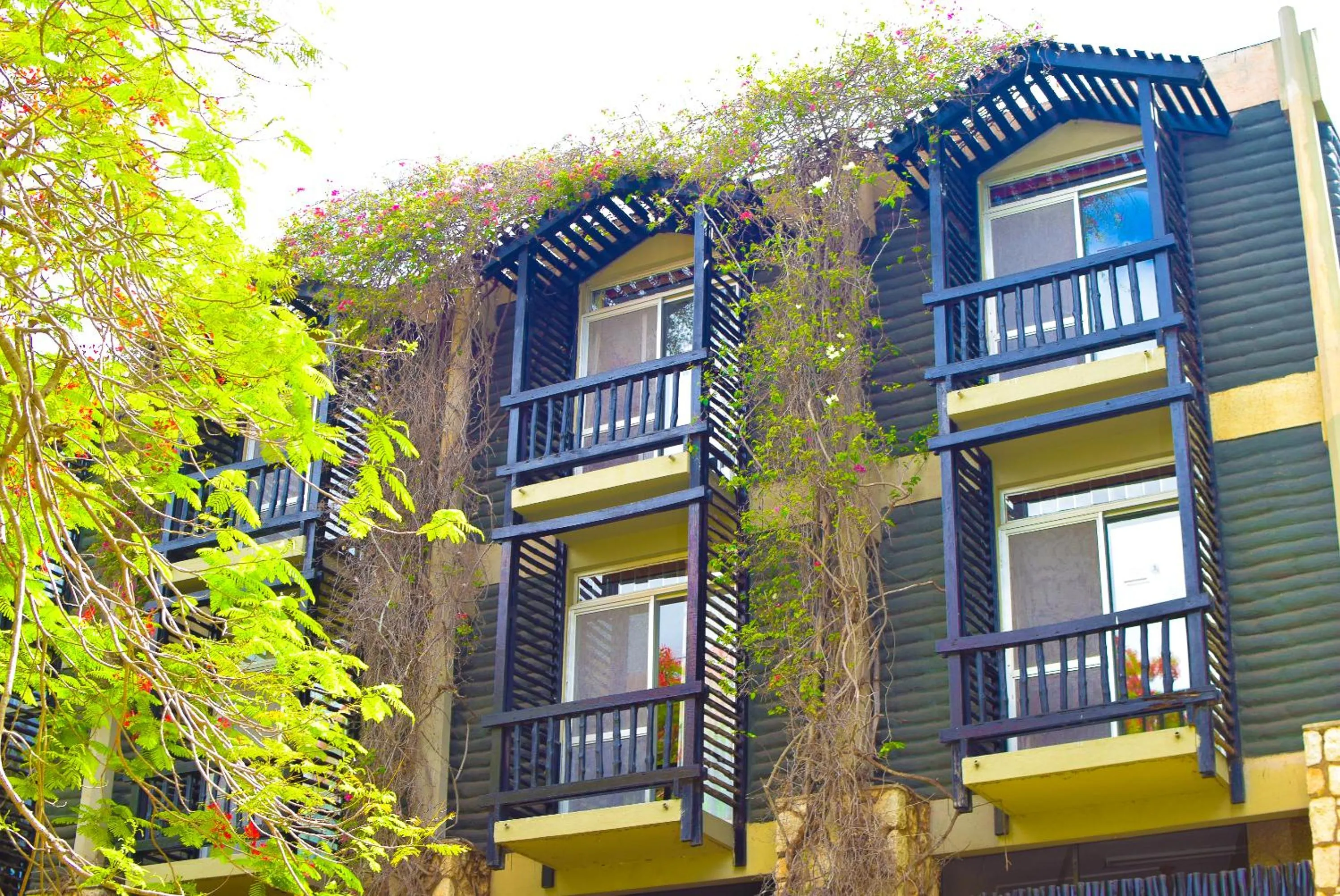 Property building in Taita Hills Safari Resort & Spa