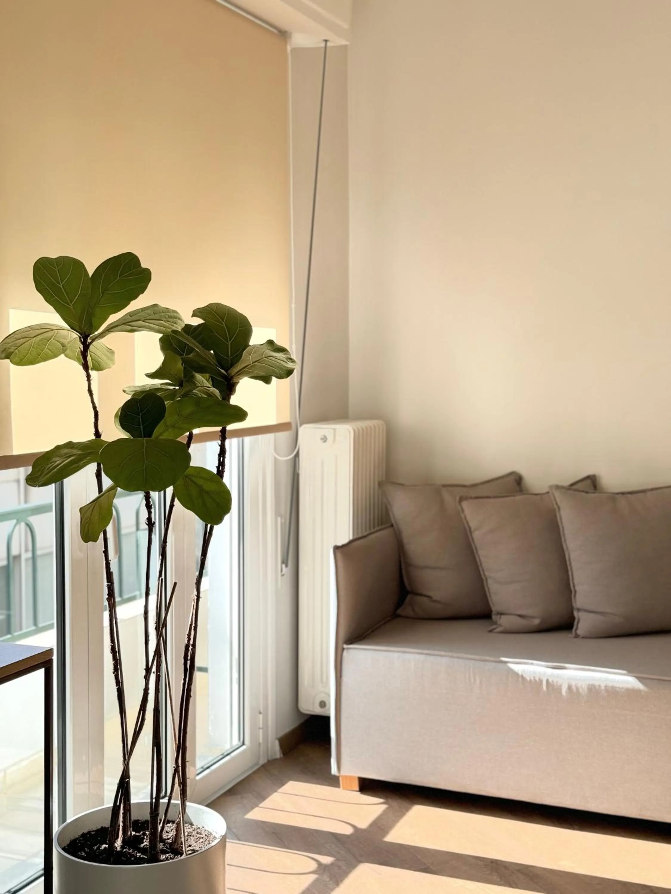 Decorative detail in Voulis Best Global Home