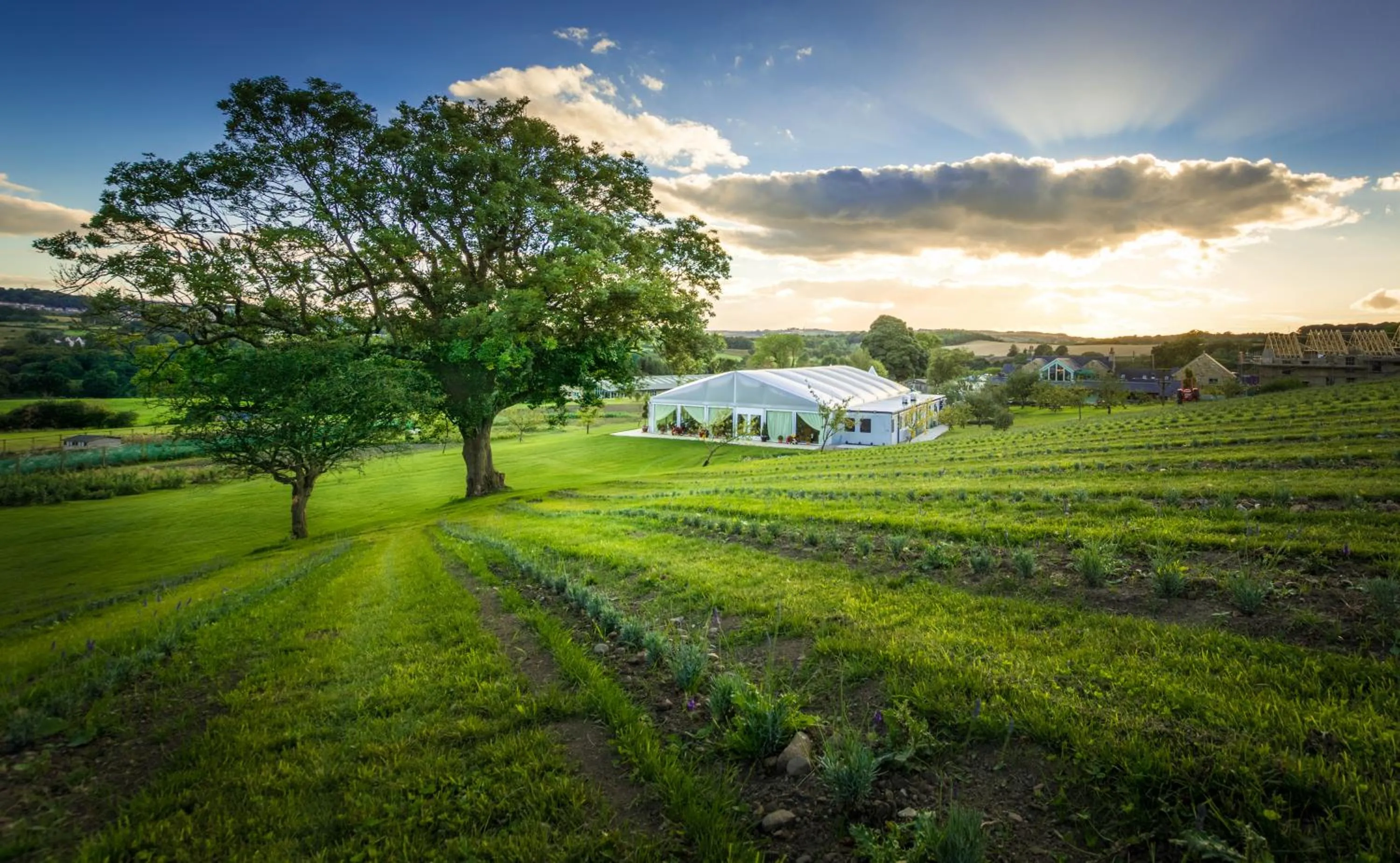 Restaurant/places to eat in Black Horse Beamish