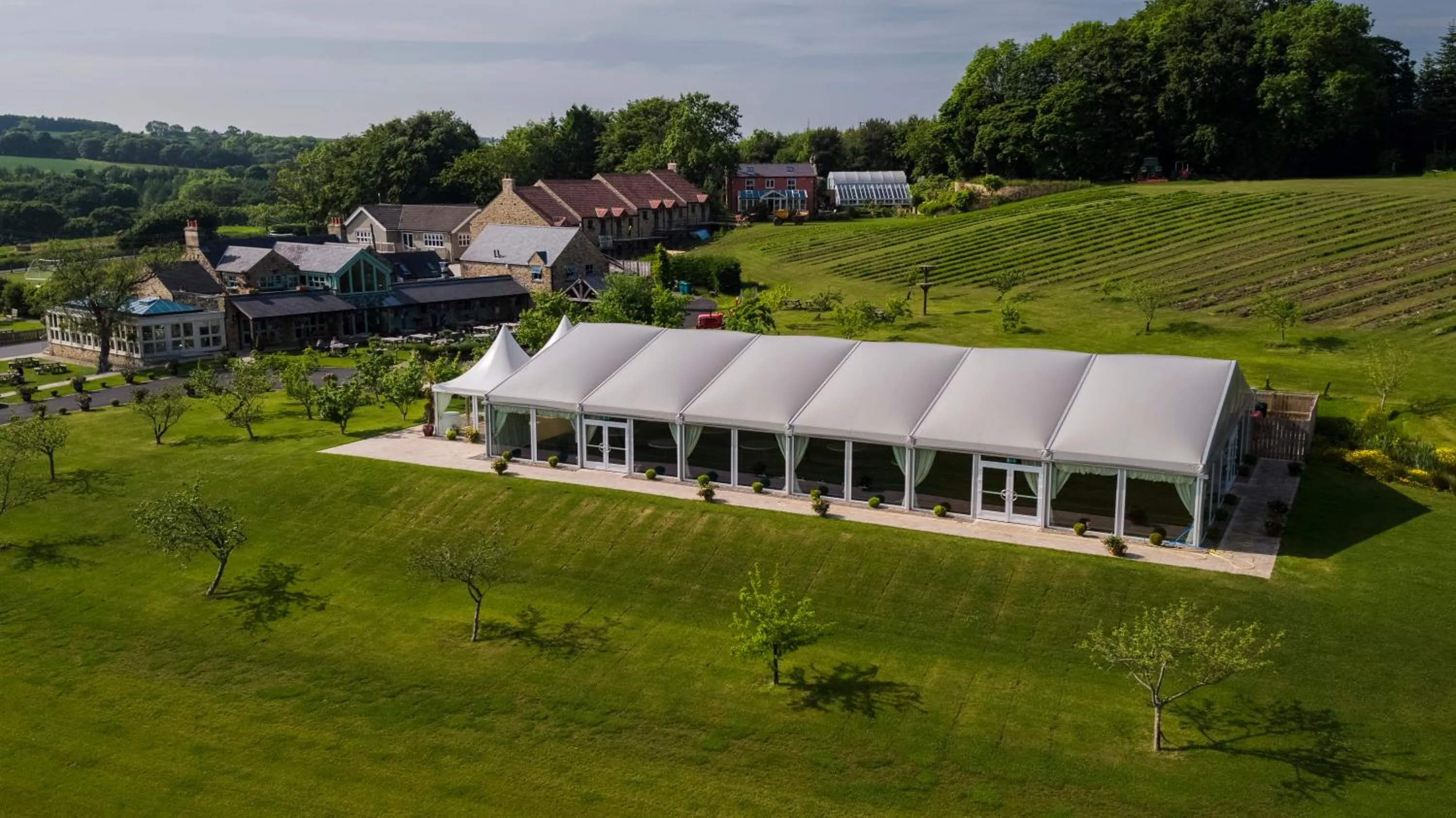 Bird's eye view in Black Horse Beamish