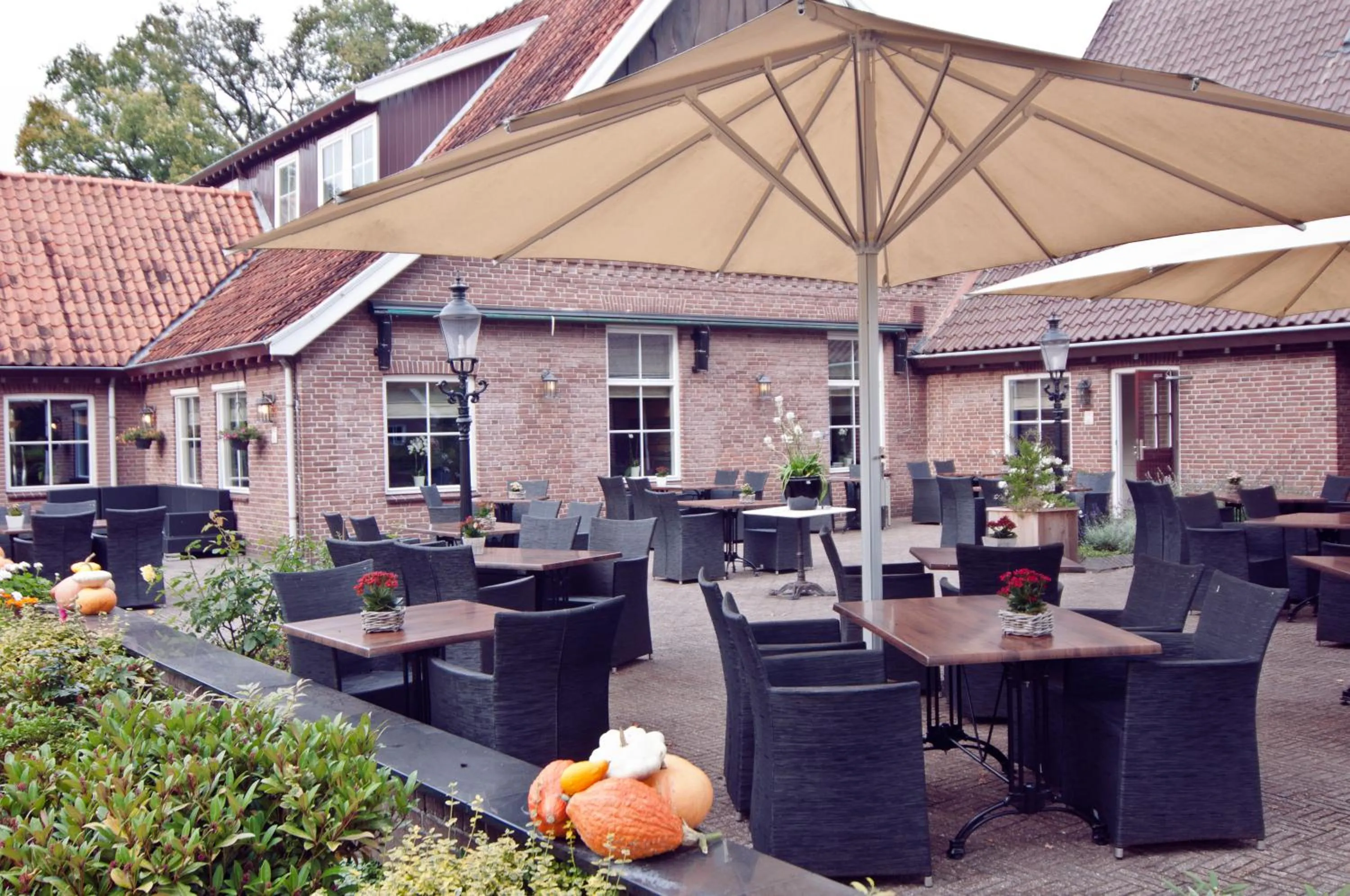 Balcony/Terrace in Het Ros van Twente