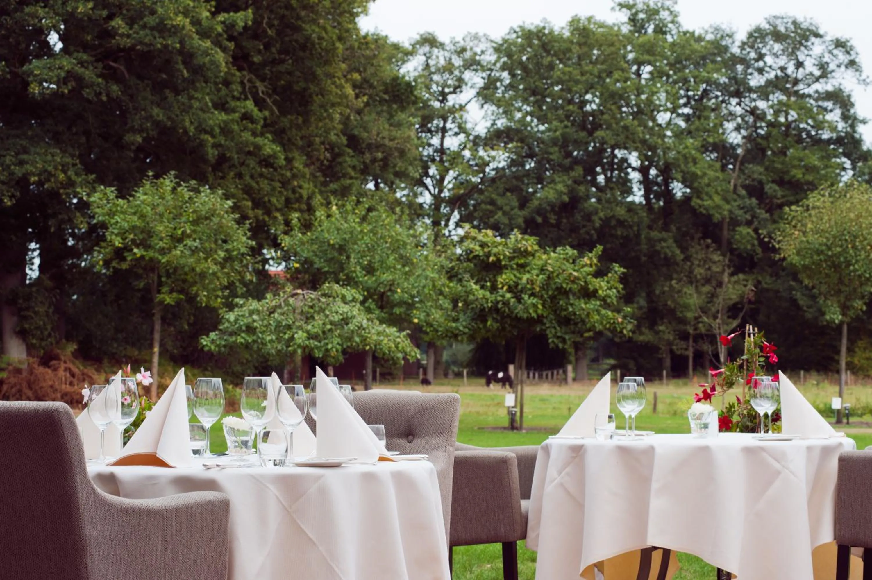 Balcony/Terrace in Het Ros van Twente