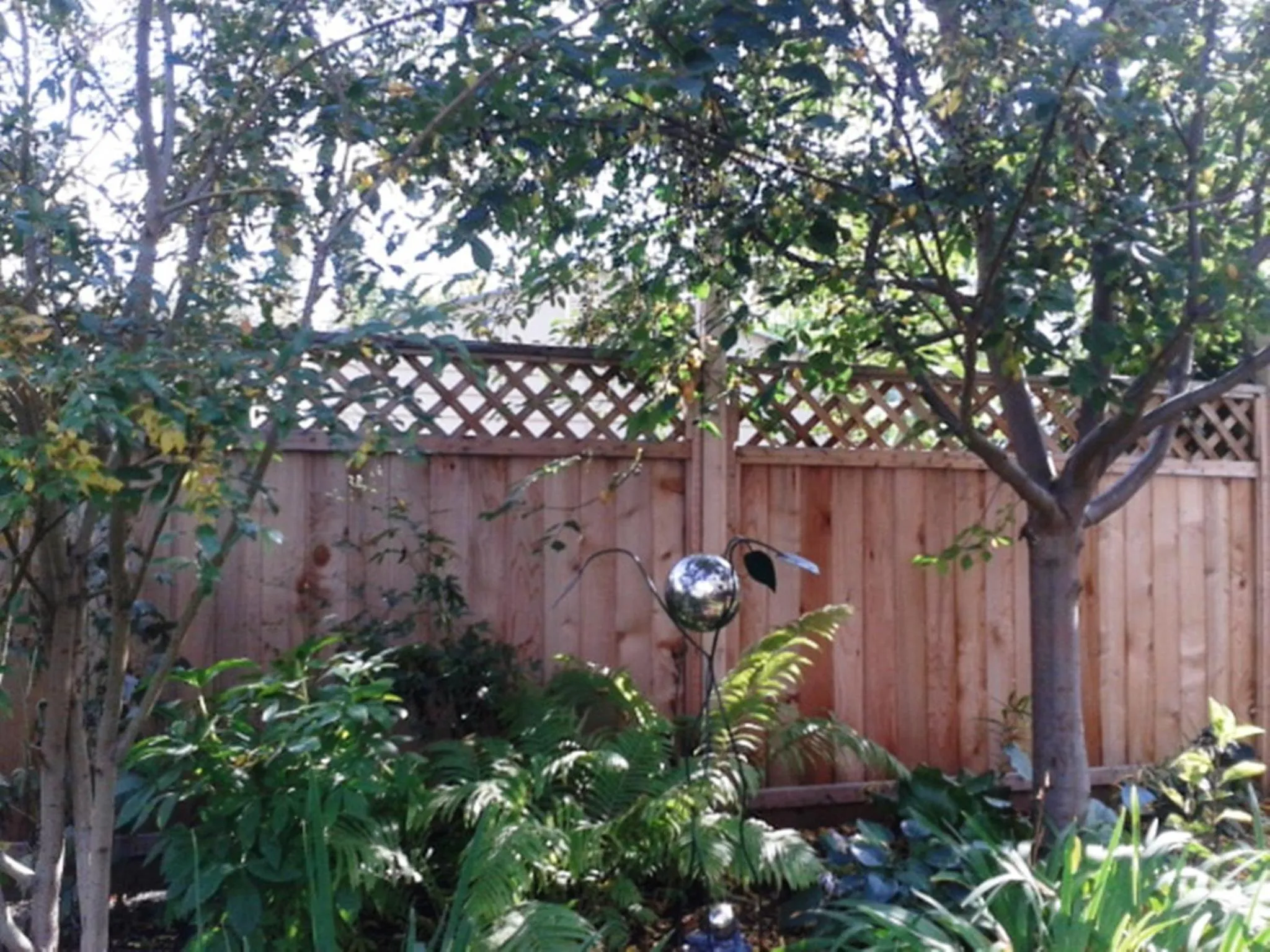 Garden in Phoenix House B&B