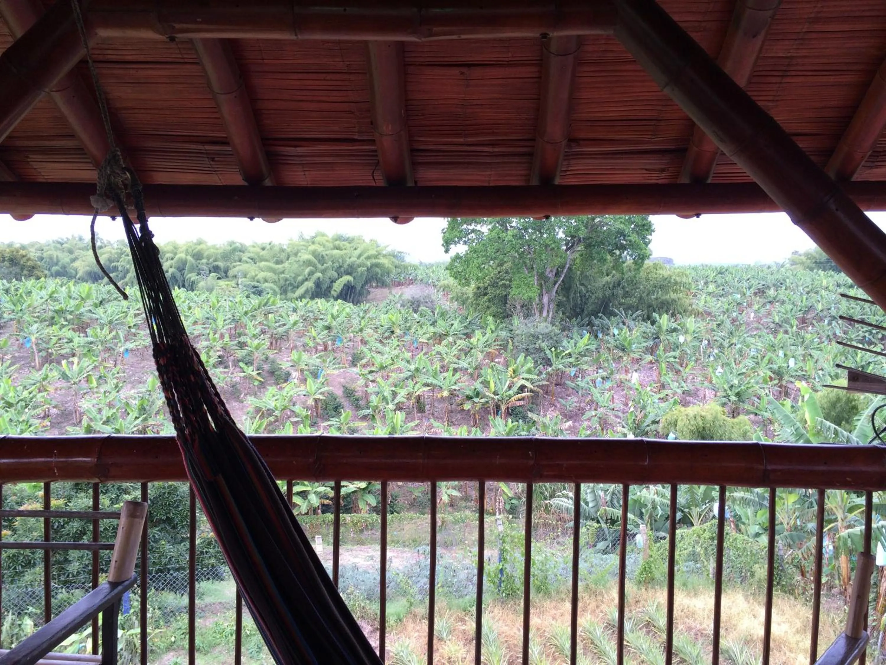 Balcony/Terrace in Hotel Campestre Los Tucanes