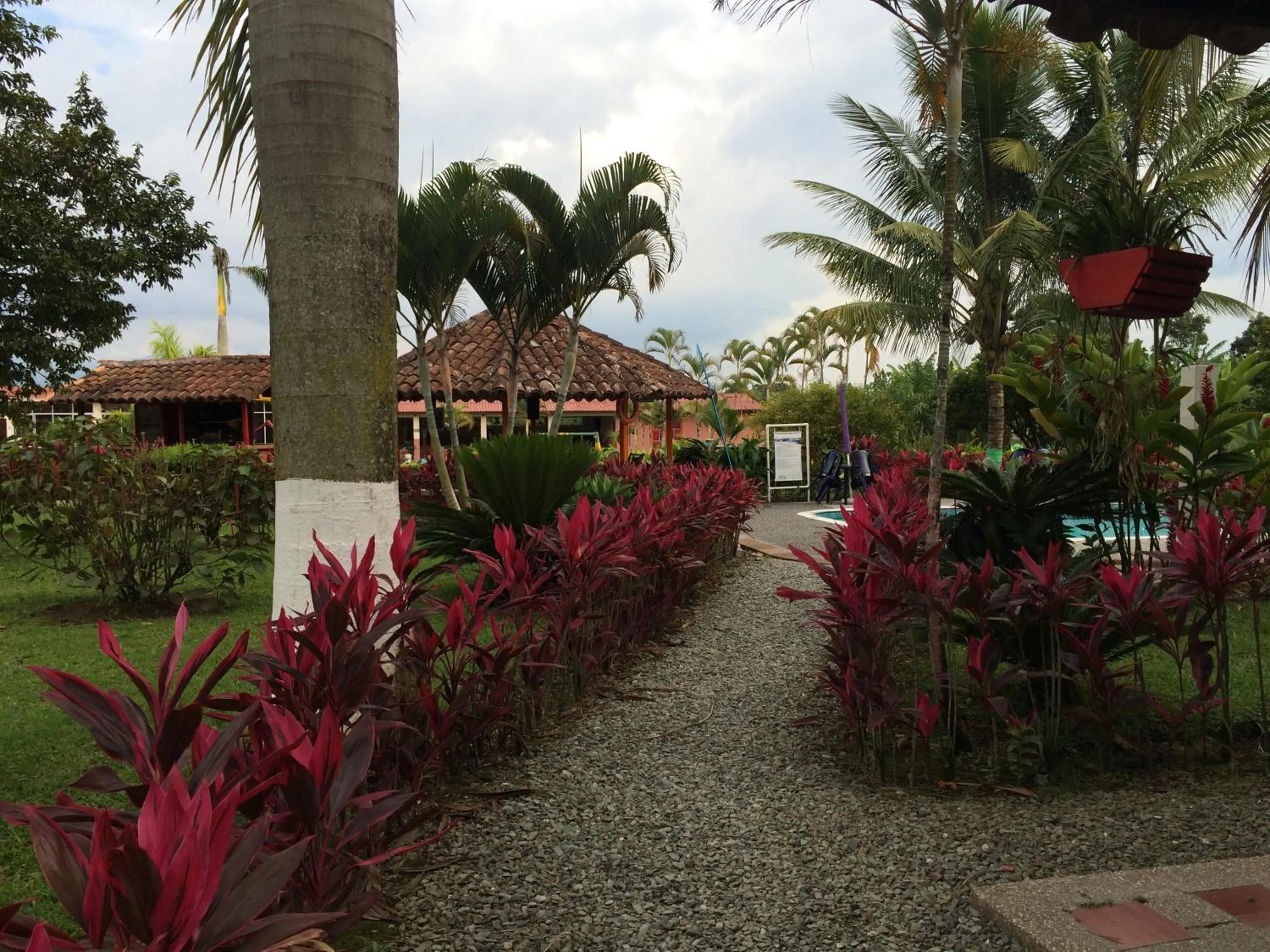 Garden in Hotel Campestre Los Tucanes