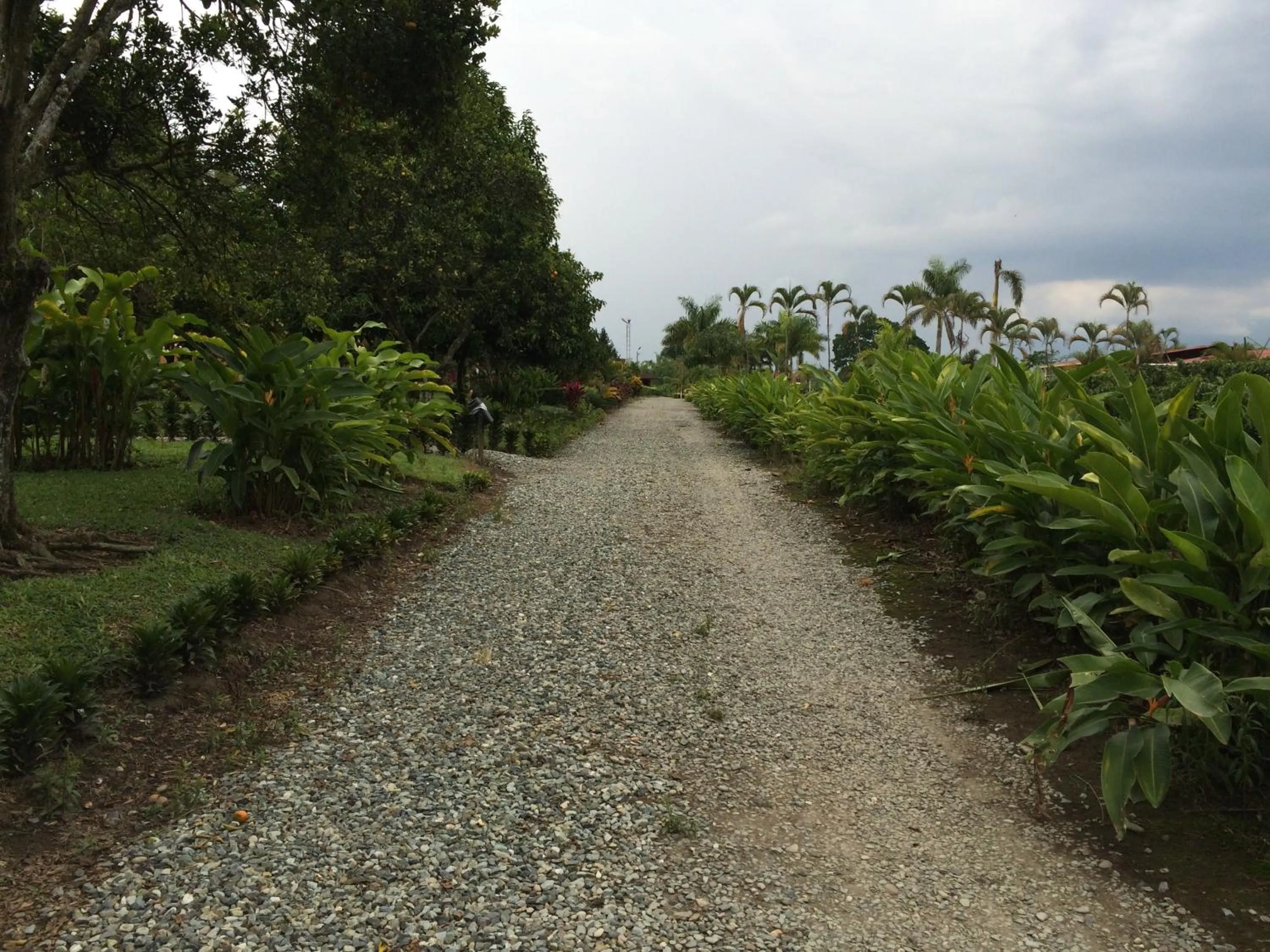 Area and facilities in Hotel Campestre Los Tucanes